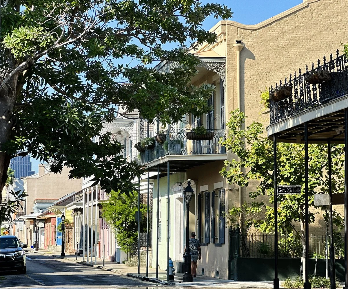 A Tree Grows on Bourbon Street