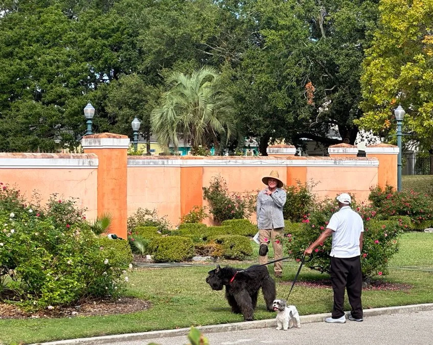 Armstrong Park’s Unexpected Attraction: The Antique Rose Garden