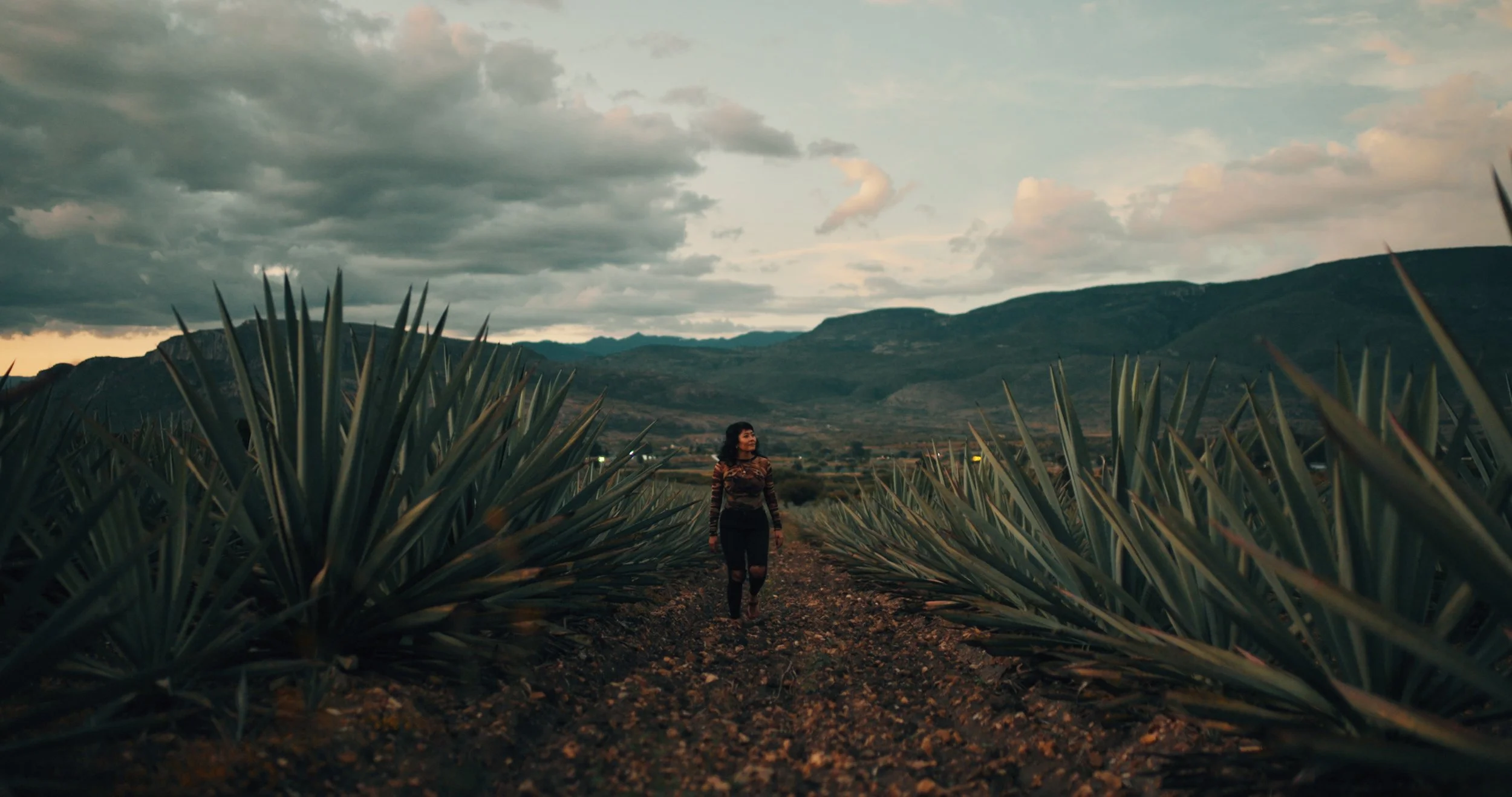 BIG LAYDOWN.10_26_09_07.Still142 2.jpg