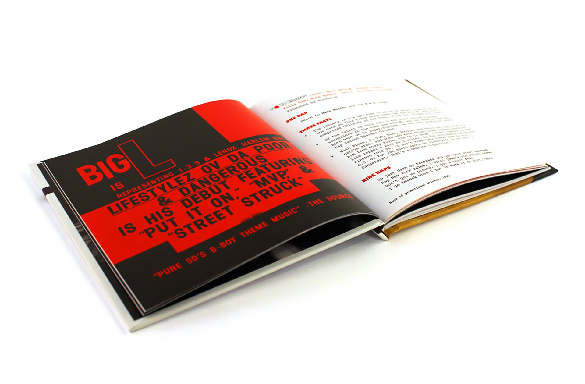 BIG L_spread2_1170.jpg
