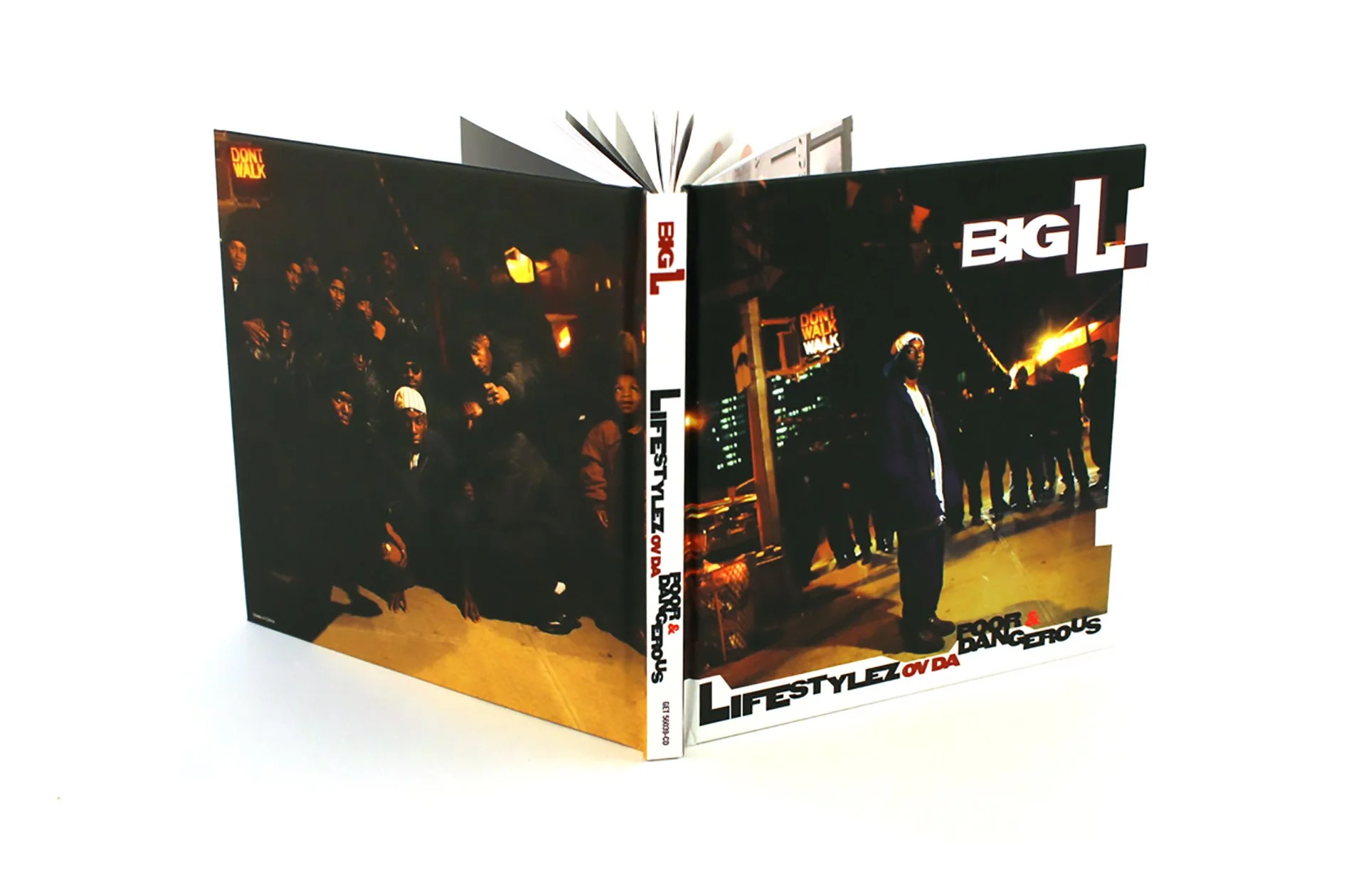 BIG L_book_1170.jpg