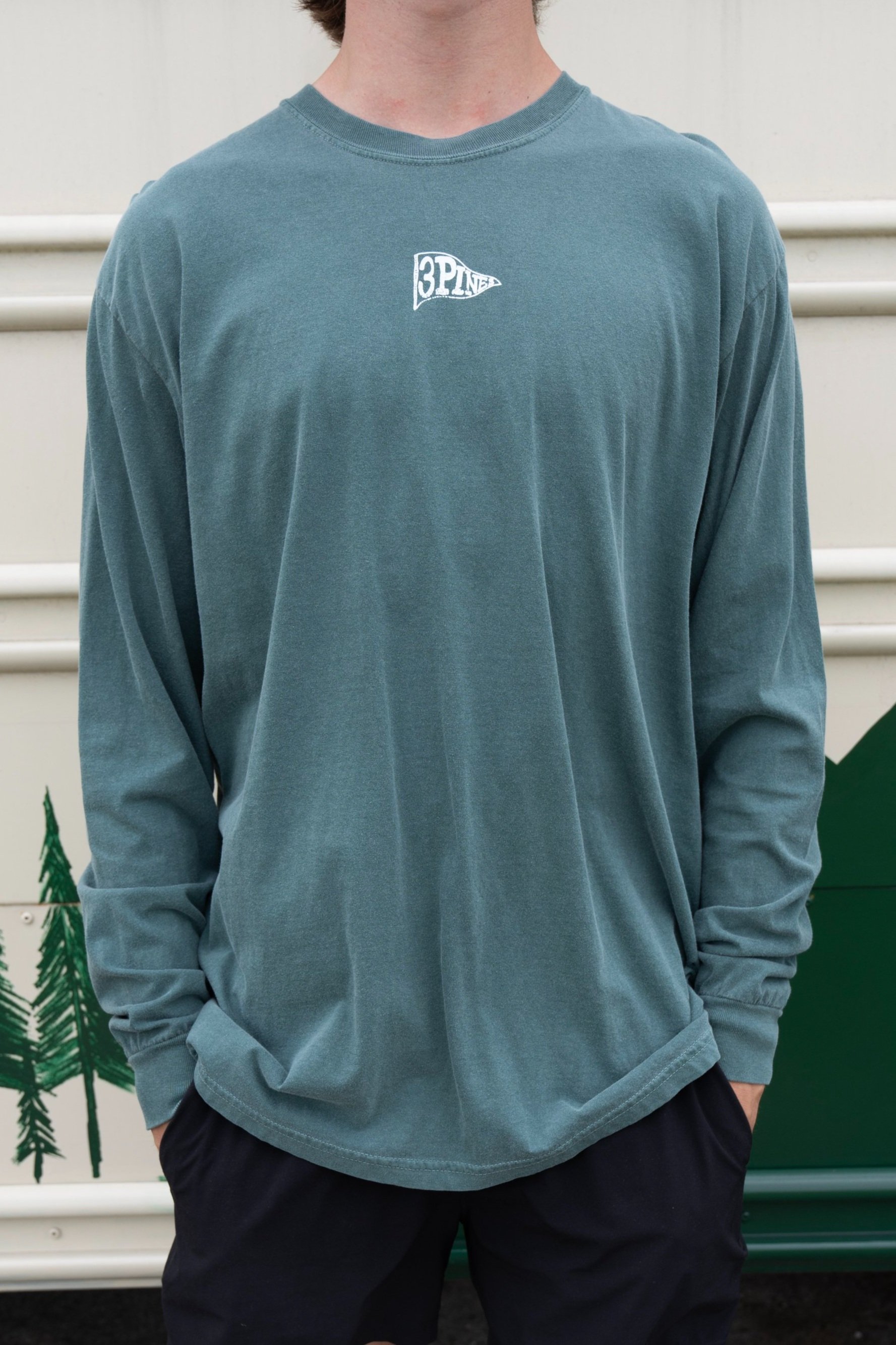 3+pines+adventure+tee+2.jpg