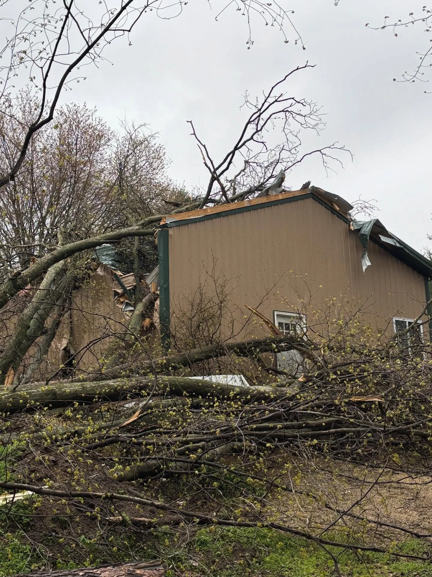 For those of you who have been following our move &amp; very slow building of our new &amp; long awaited wood shop for 3 Pines, you will know how devastating these photos are to us. All the rainfall we have had recently &amp; last night&rsquo;s storm