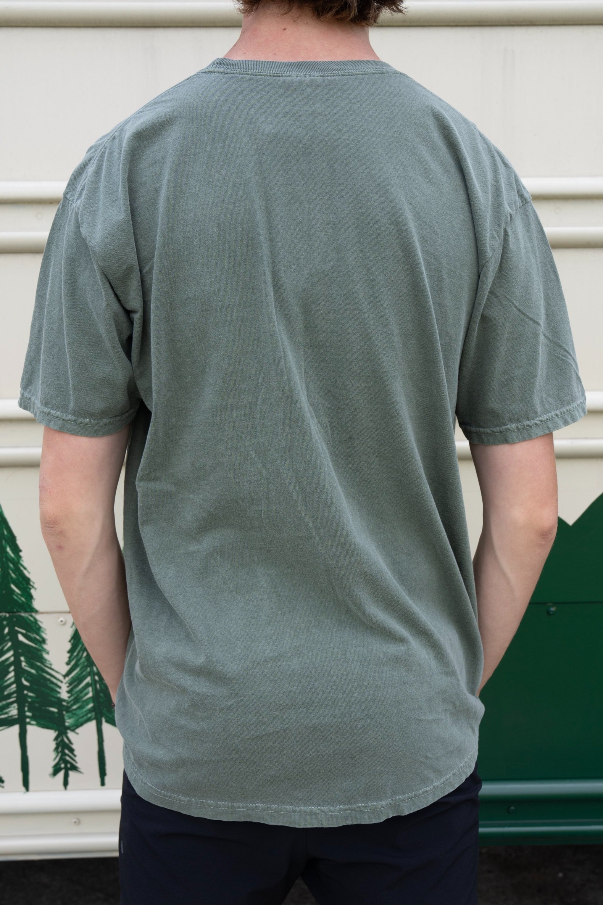 3+Pines+logo+tee+green+2.jpg