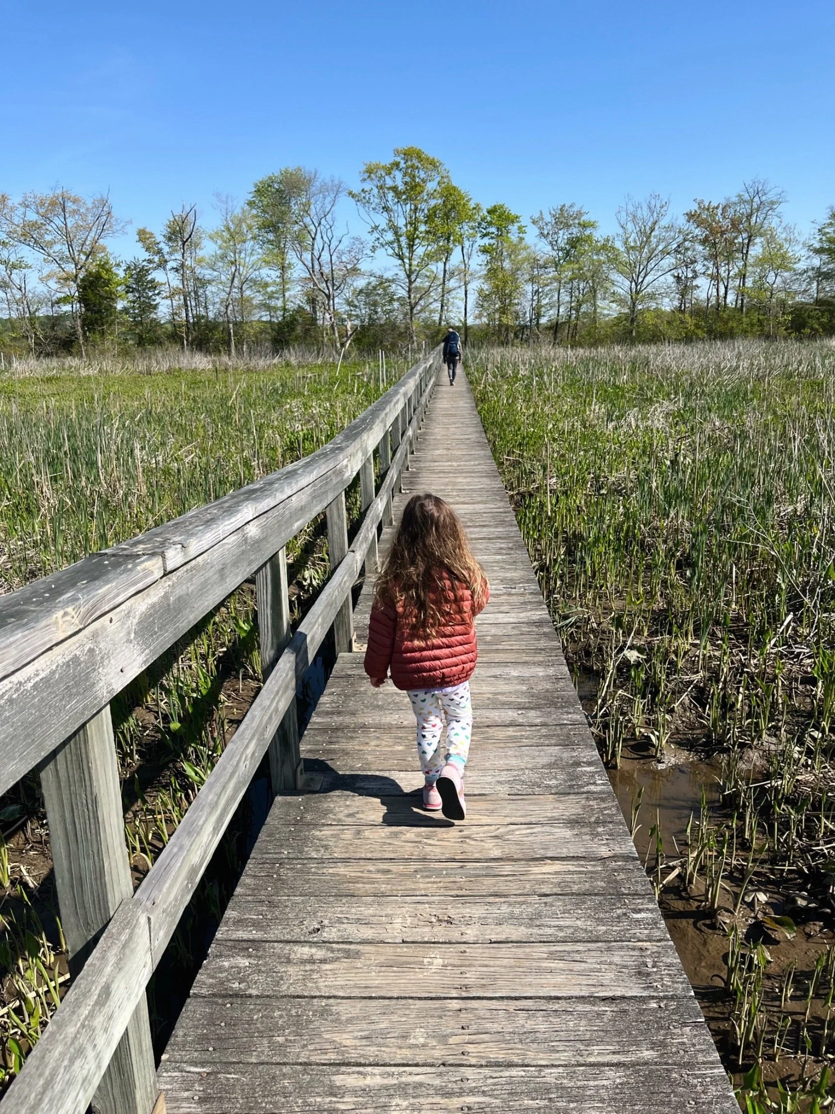 10 Family-Friendly Outings in Montgomery County (That Aren’t Just for Kids)