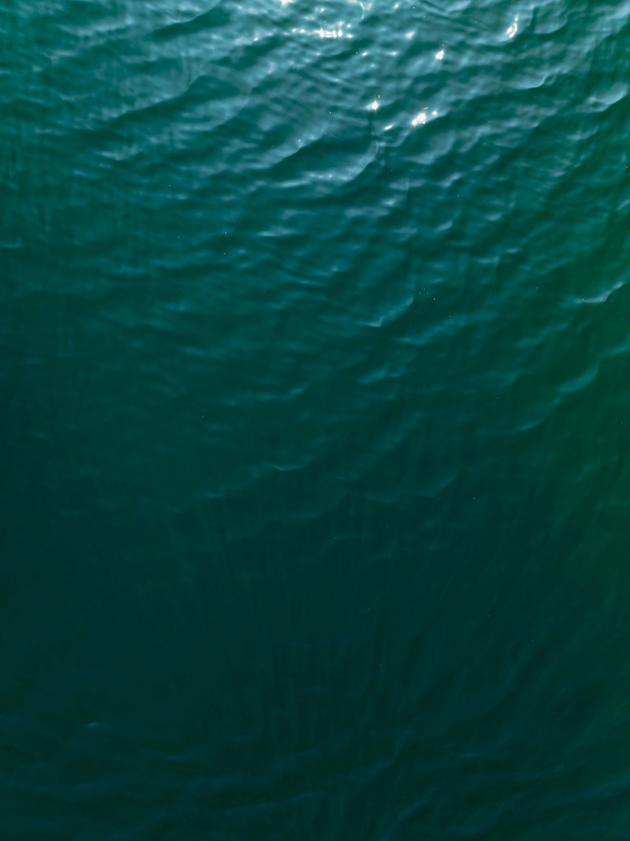 DJI_0506.jpg