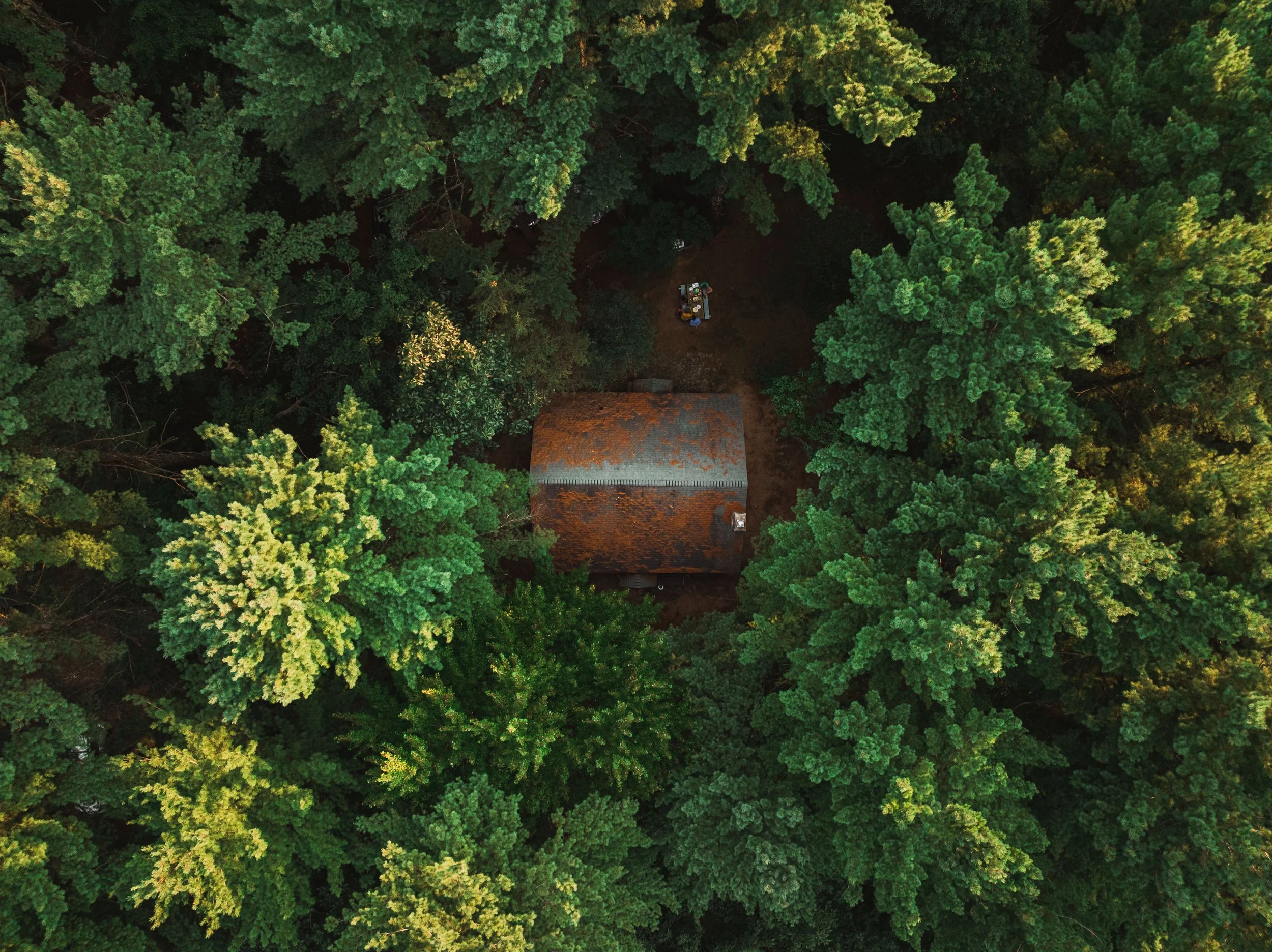 DJI_0496.jpg