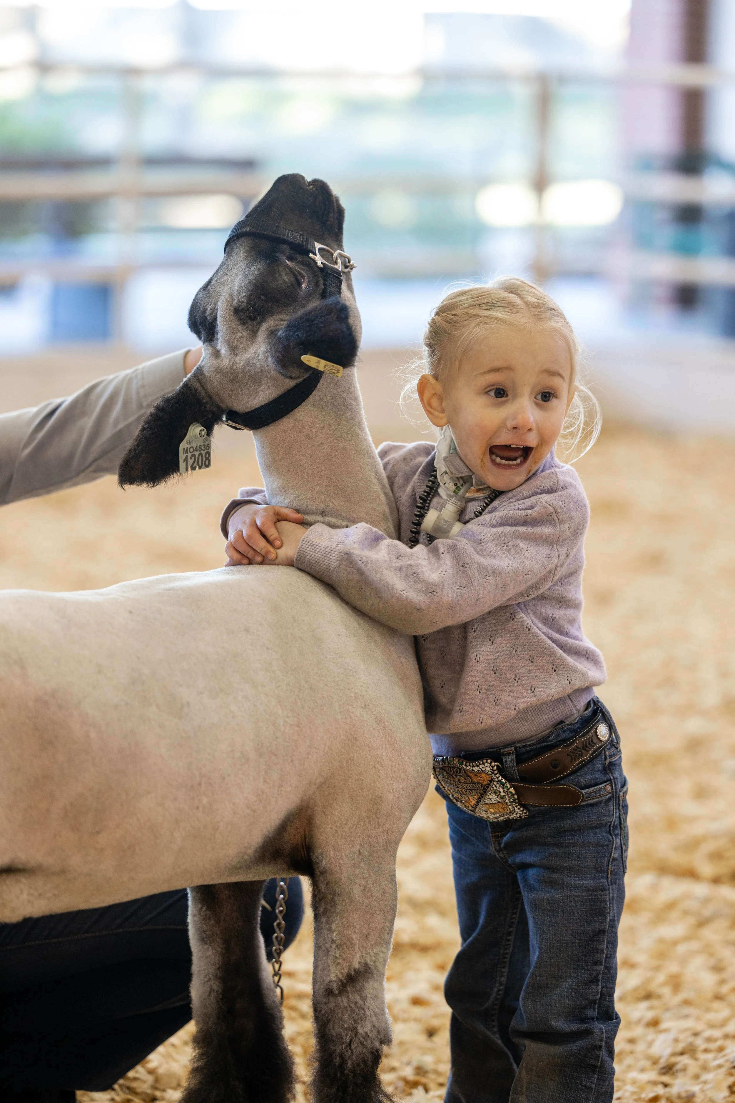 A little girl smiling while holding her sheep in the show ring at the Mid-American Stock Show