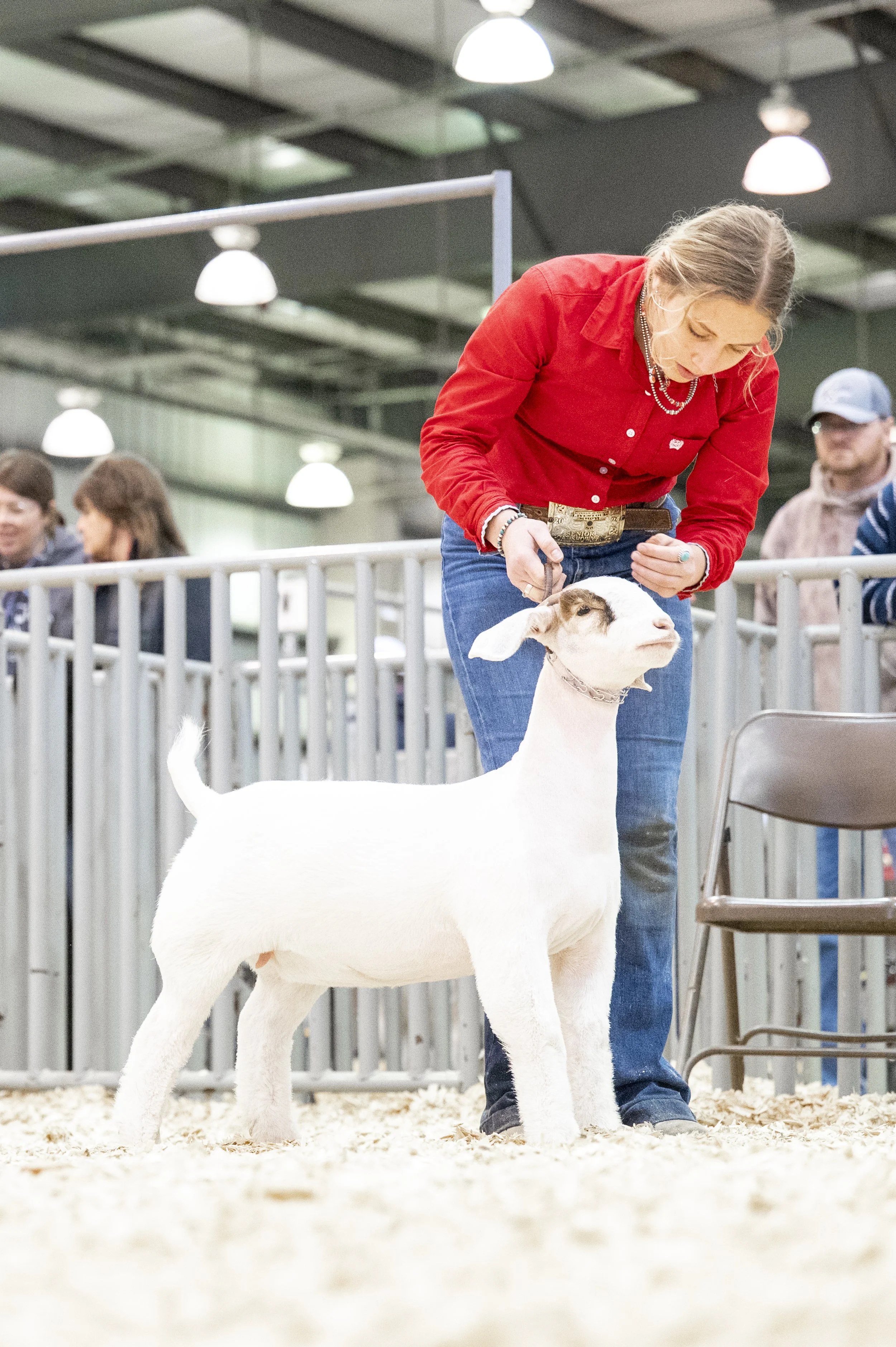 Female showing a goat at the Mid-American Stock Show