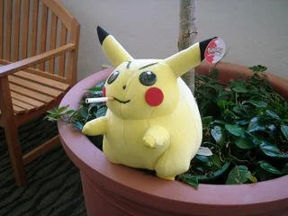 ODO8Sat08-themascotreturns.jpg