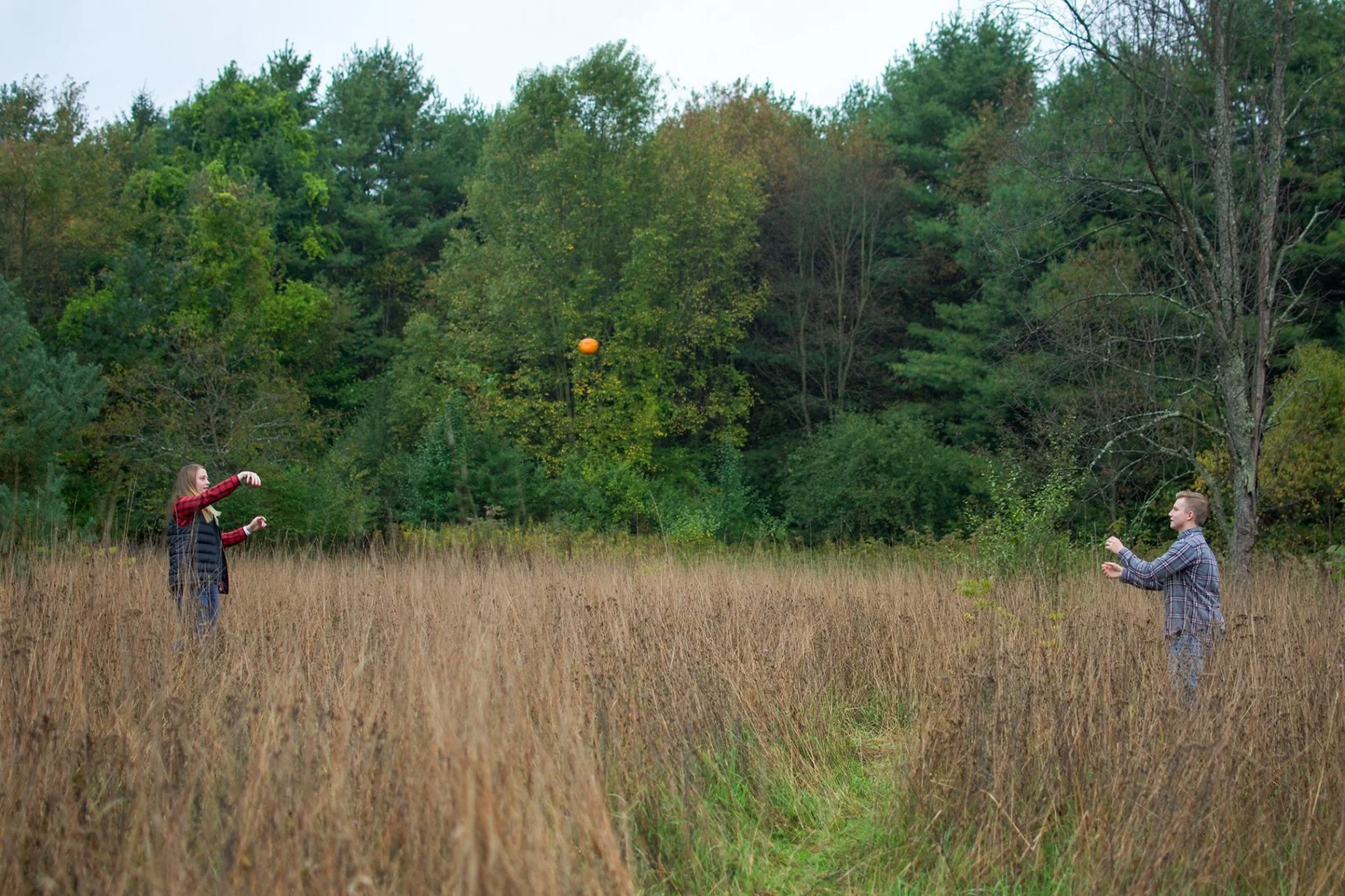 Two people playing catch with a ball in a grassy field surrounded by trees.