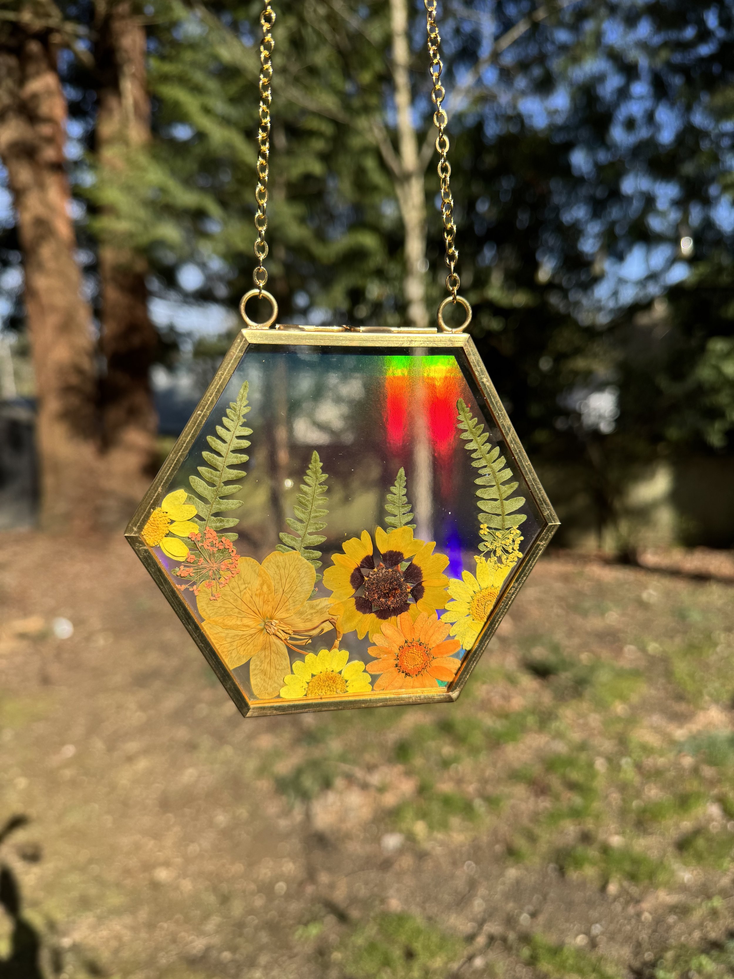 Bright Sun.jpg