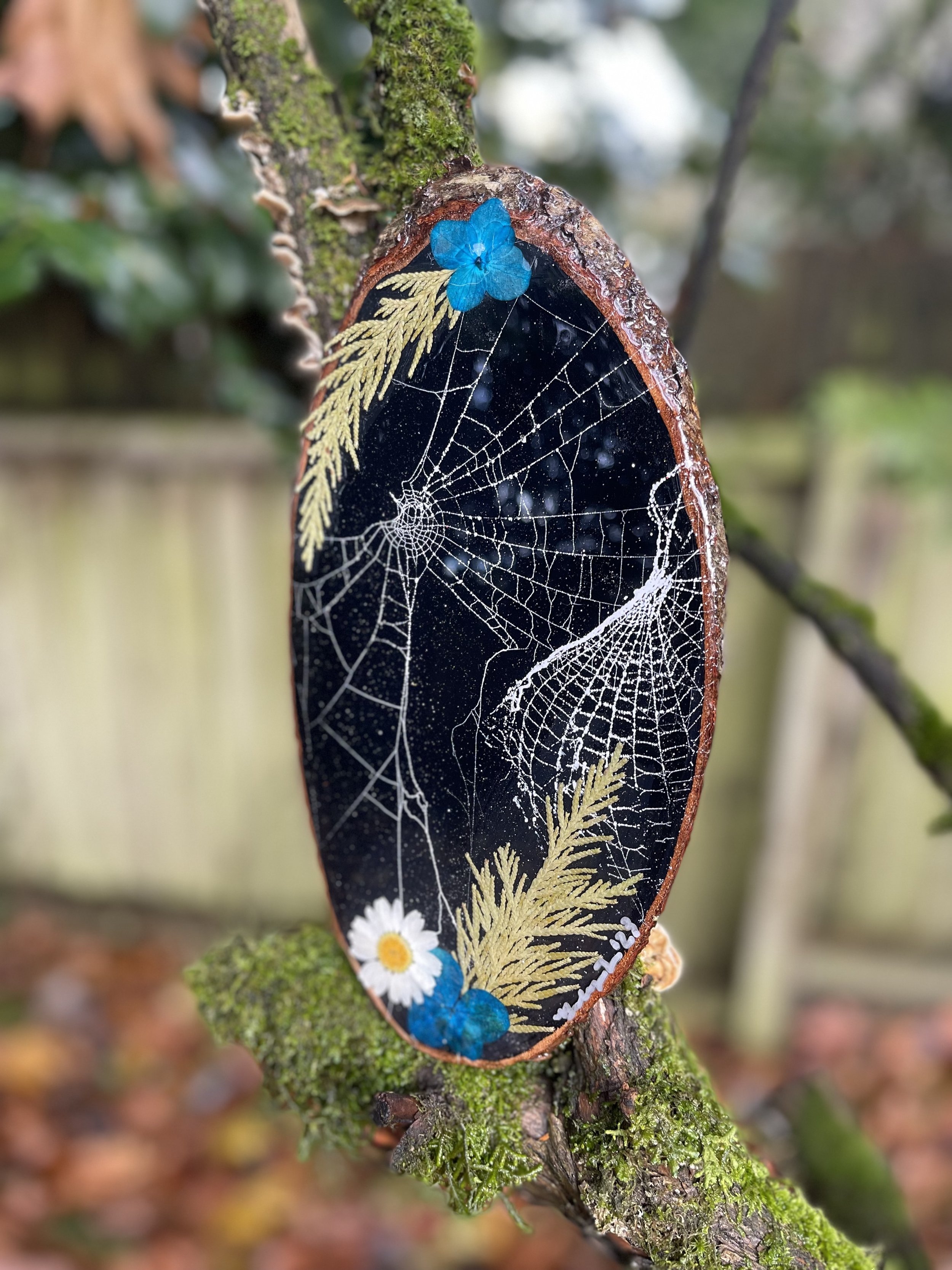 Blue Web.jpg