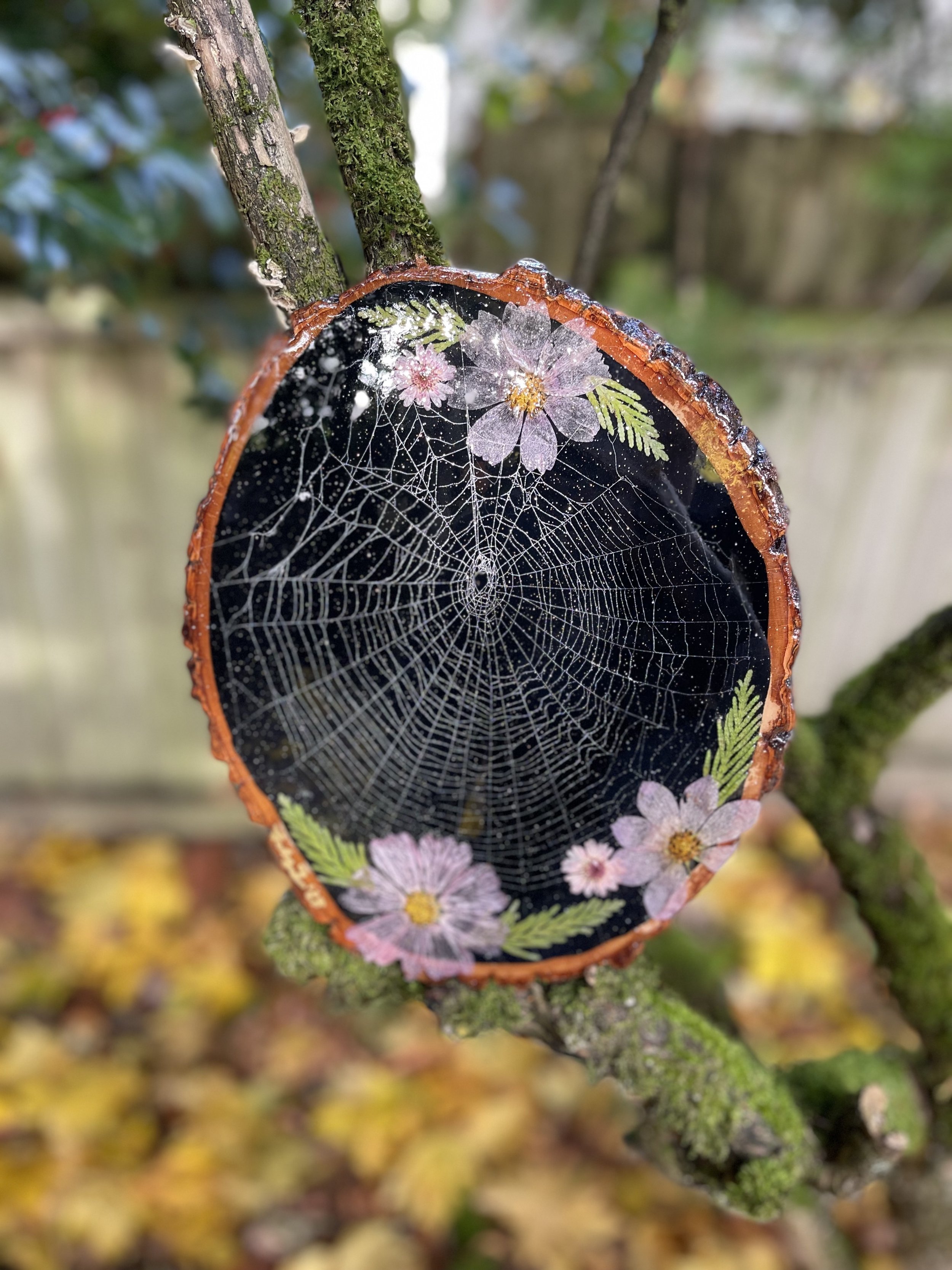 Purple Web.jpg