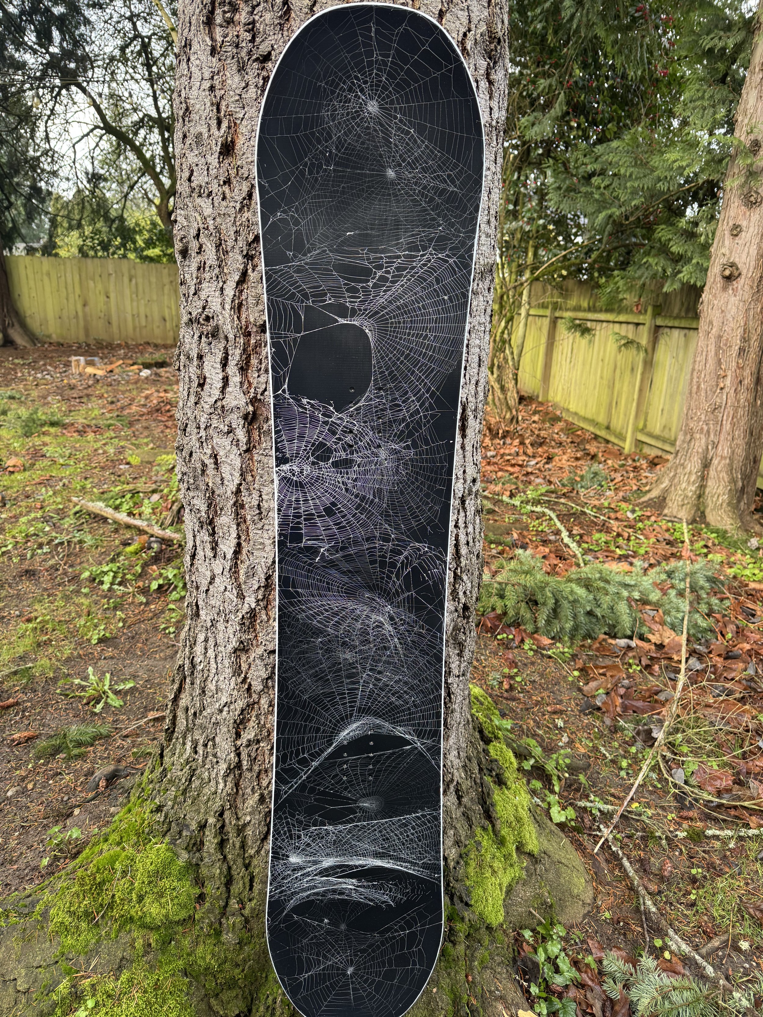 Web Snowboard.jpg
