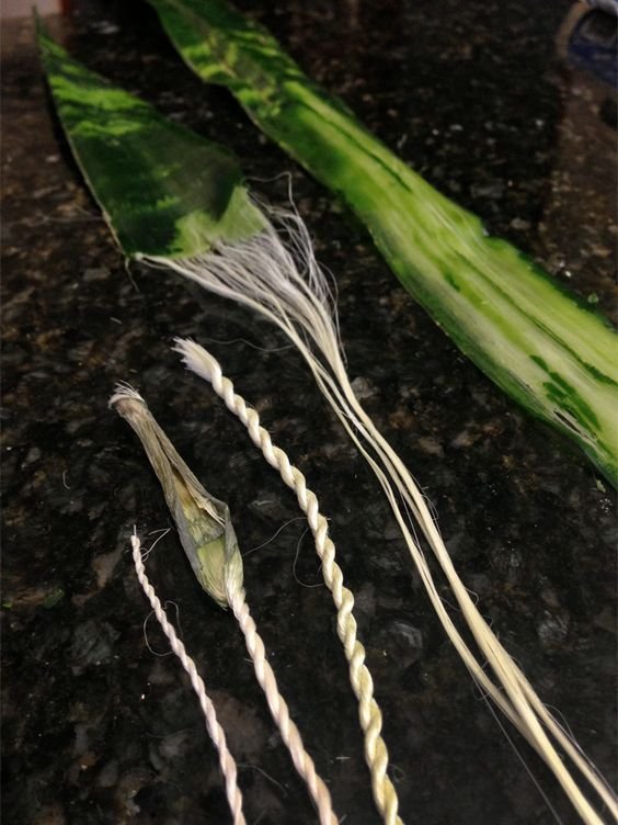 natural cordage