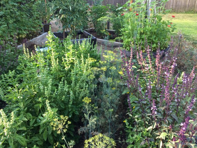 Garden meditation