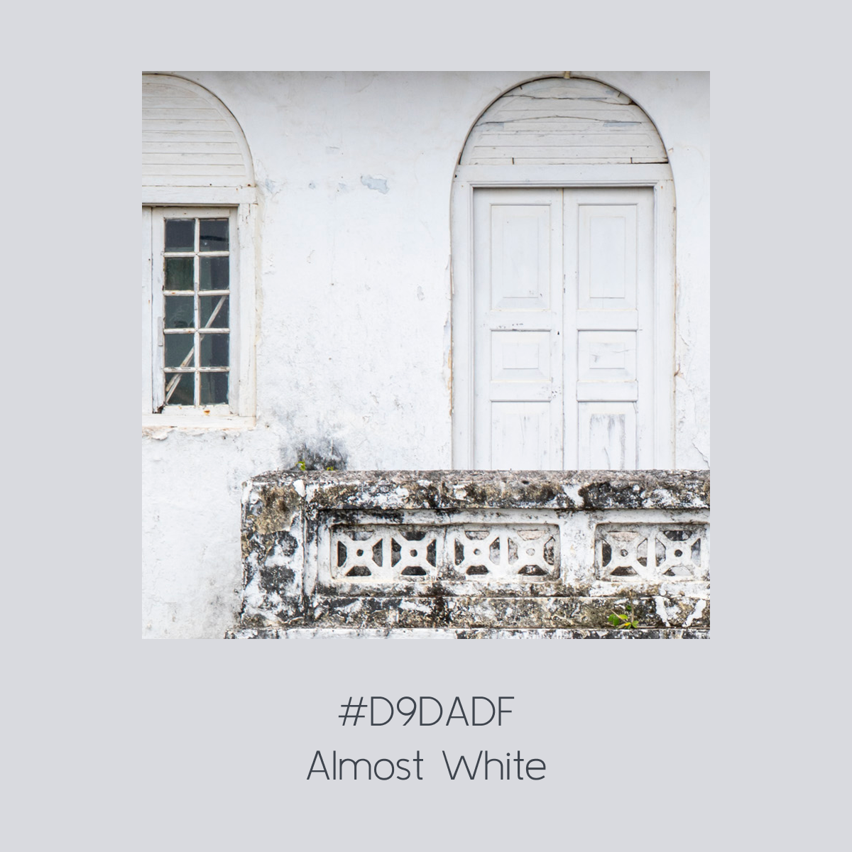 Paint White.png