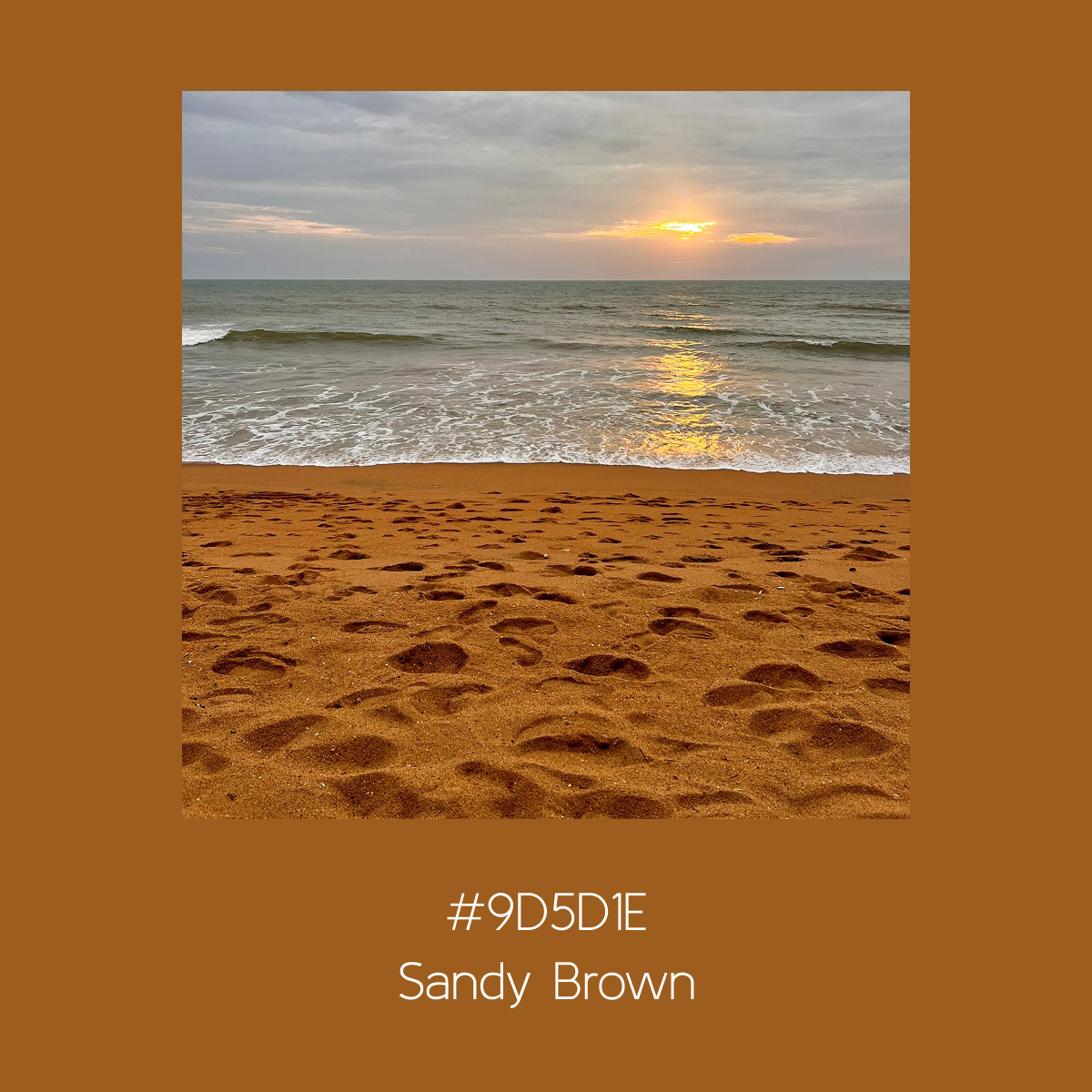 Sand Brown.png