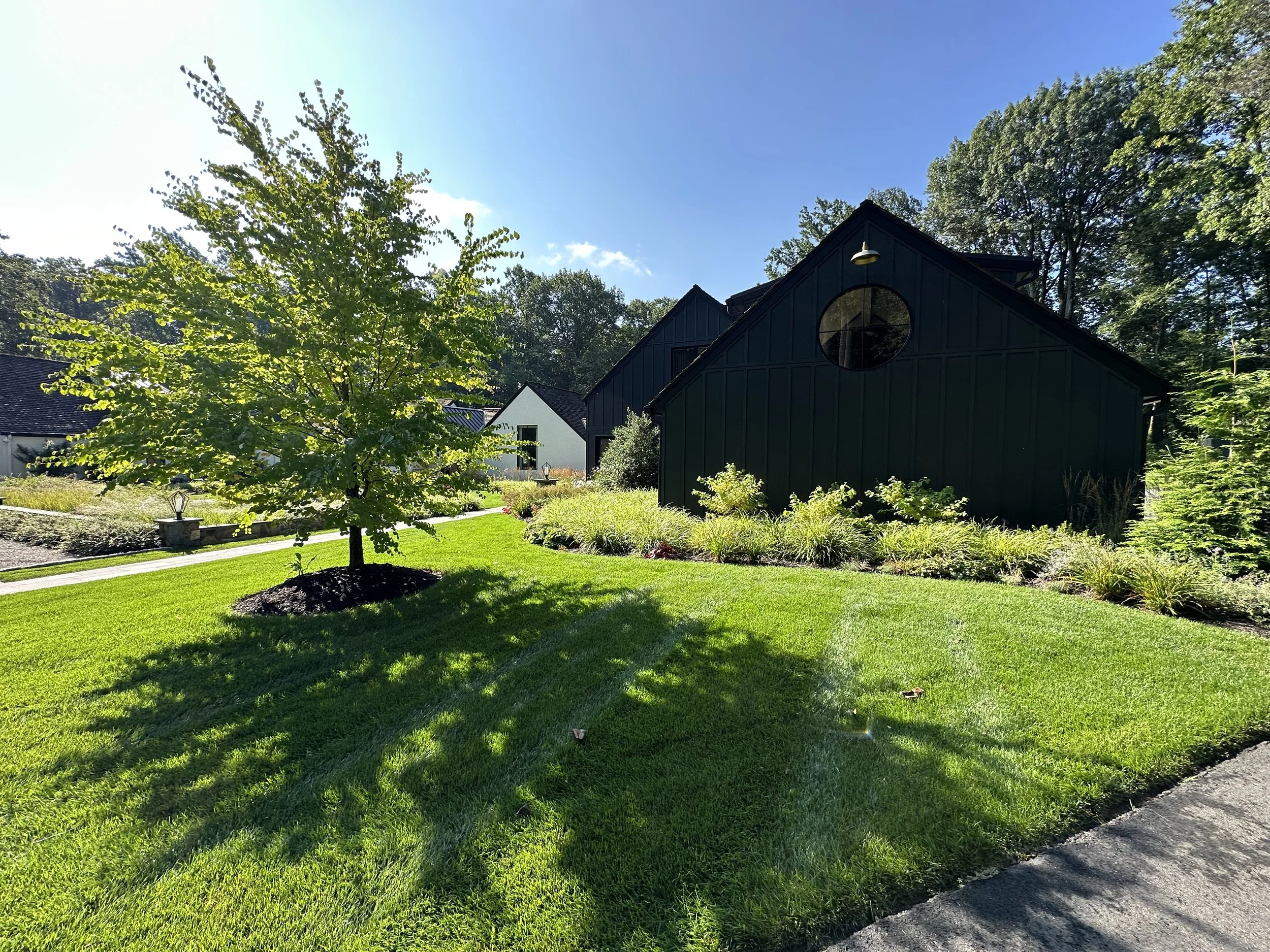 A well-maintained yard with a small tree, lush green grass, and black modern building with circular window, surrounded by plants and trees under a bright blue sky.