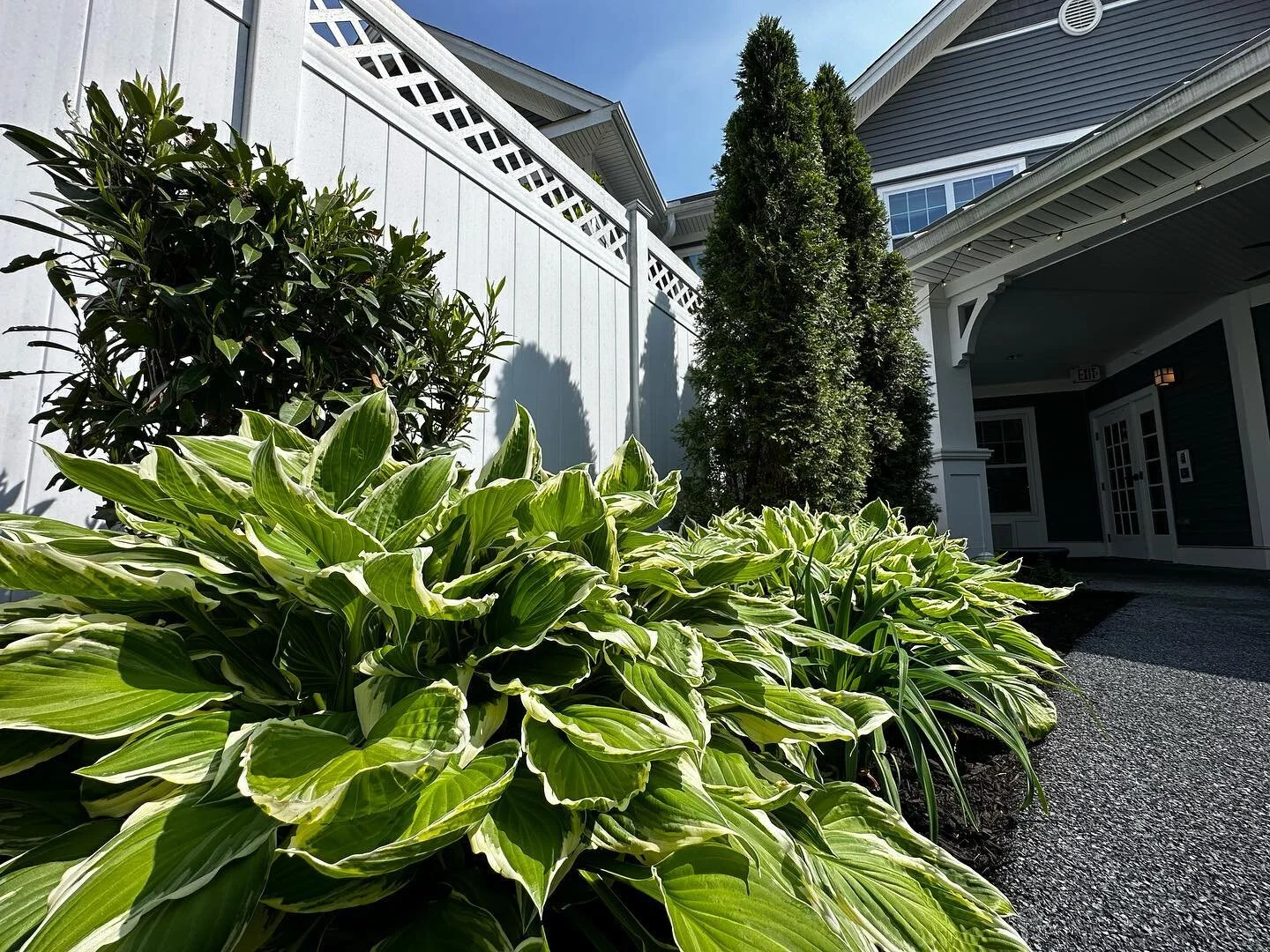 Spruced up this courtyard with some fresh black dyed-mulch! 🌸🌱 
Nothing like a good landscape clean-up to make any space feel brand new again. Check out the difference some mulch and a little TLC can do for your outdoor space! 🌷🌻
 #landscaping