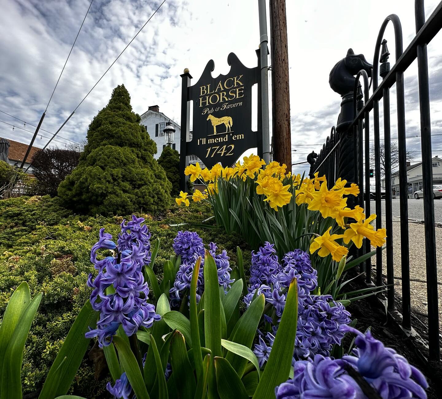 🌸🐰 Spring is Here! 🐰🌸 Get your property Easter-ready with our spring clean-up services! From lawn care to flower bed maintenance, we&rsquo;ll ensure your space is pristine for the holiday weekend.

Call now to schedule or get a quote! 🌱

(973)54