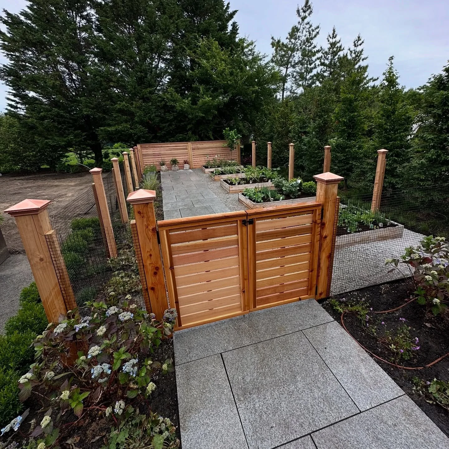 Earlier this season we crafted a custom cedar garden that turned into a true highlight of the property. The natural wood frames an enclosed retreat of raised beds, offering both structure and elegance while flowing effortlessly into the surrounding l