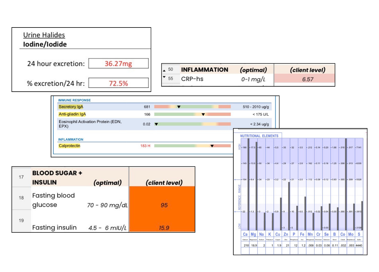 Functional Nutrition Lab Results
