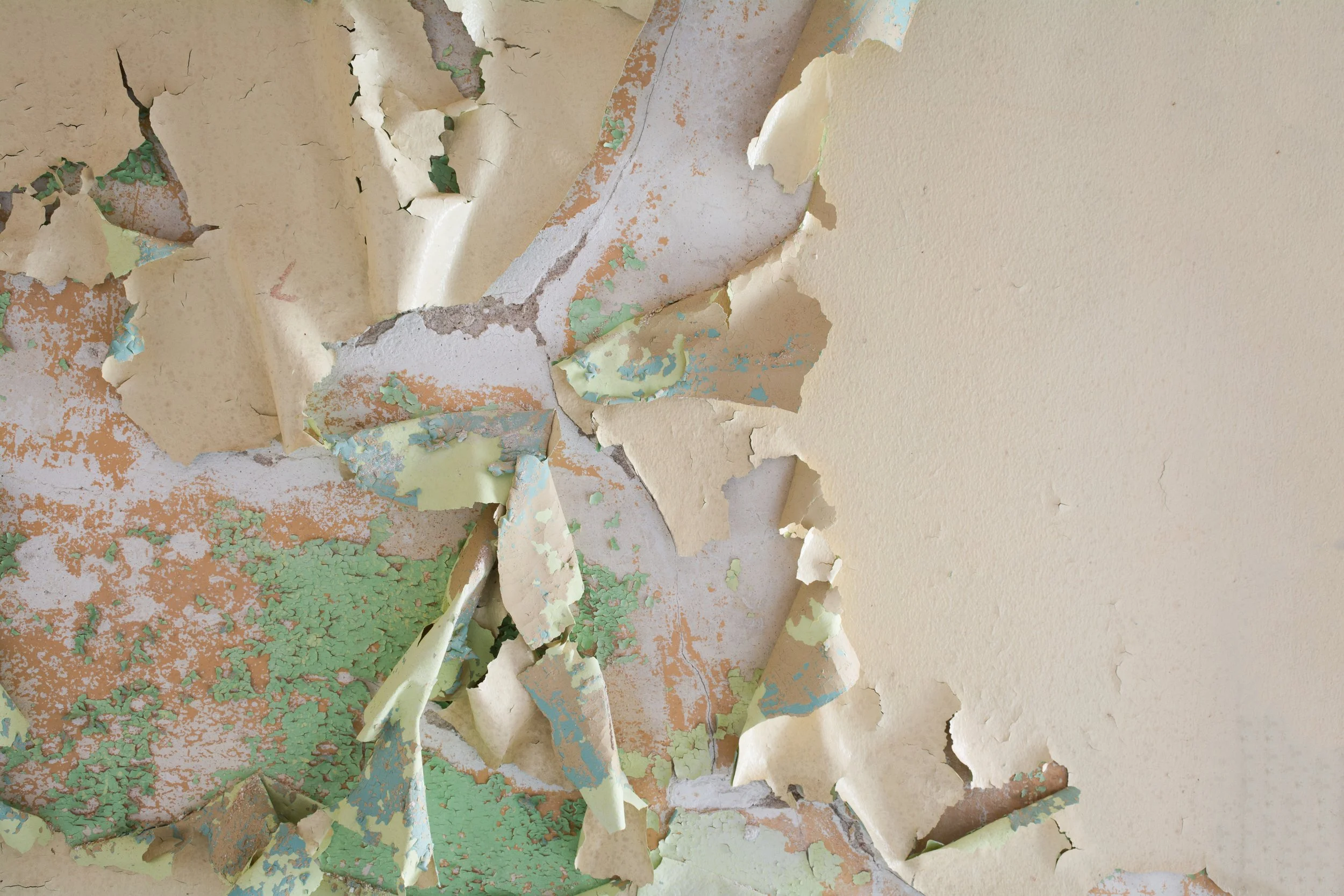 Abandoned (7 of 10).jpg