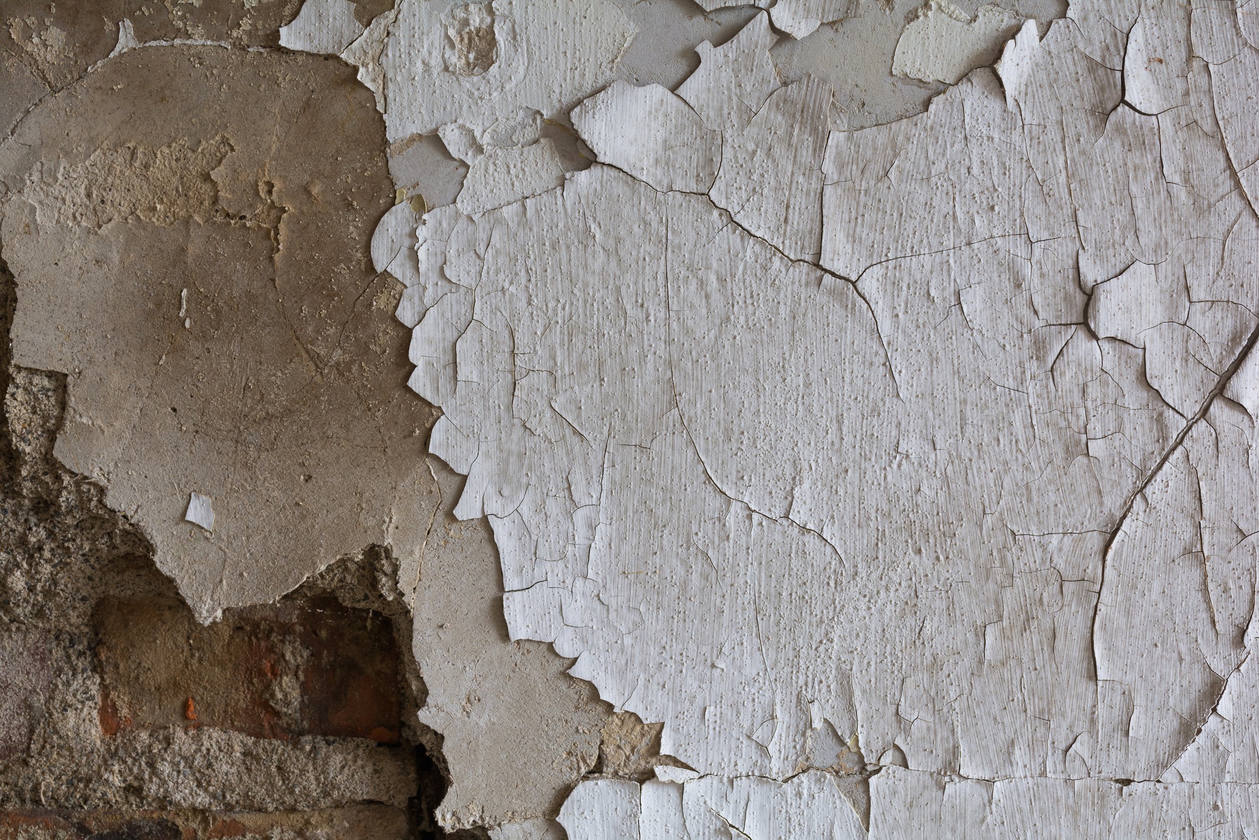 Abandoned (10 of 10).jpg