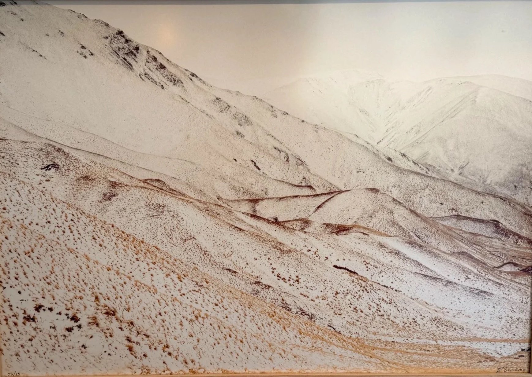 Dethmer Leemborg - "Last days" - Fine Art Print   - 44 x 61 cm - $699