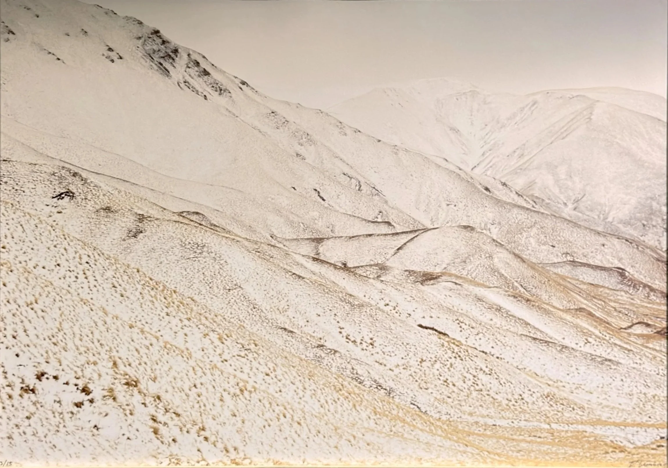 Dethmer Leemborg - "Last days" - Fine Art Print   - 44 x 61 cm - $699