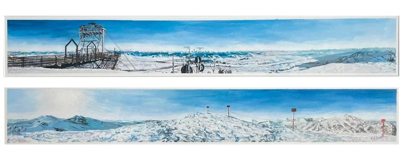 Nicola McDonald - "I Remember the Mountain" - Acrylic on paper  - 70cm x 10cm - Dyptich - NOT FOR SALE
