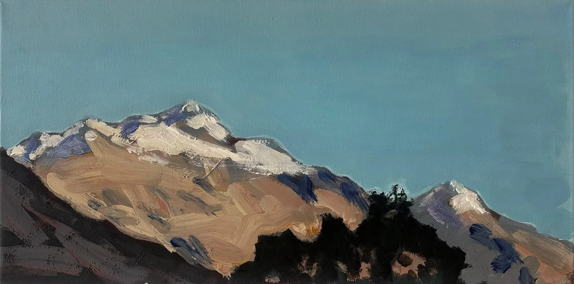 Greg McDowell - "The Peaks" - Acrylic on Canvas - 30 x 61 cm - $350