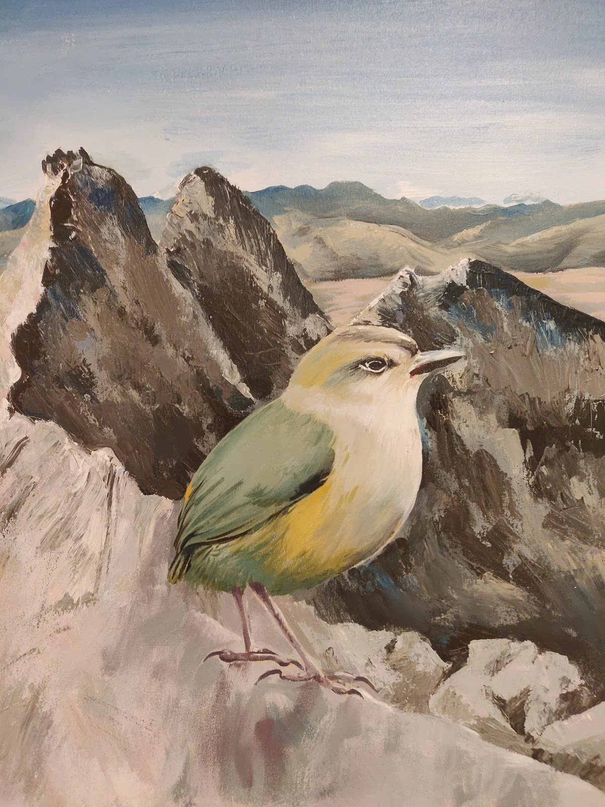 Marie-Claire Henderson - "Rock Wren in The Remarkables" - Acrylic paint - 50cm x 60cm - Not for sale