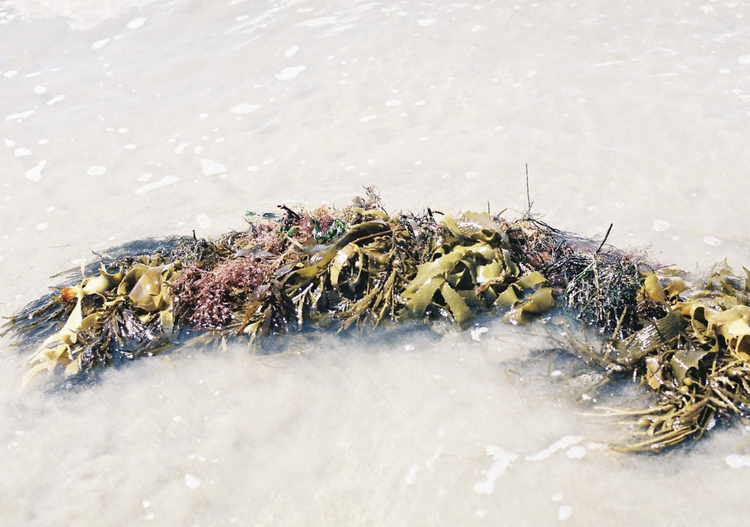 Queenscliff Cruising Yacht Club