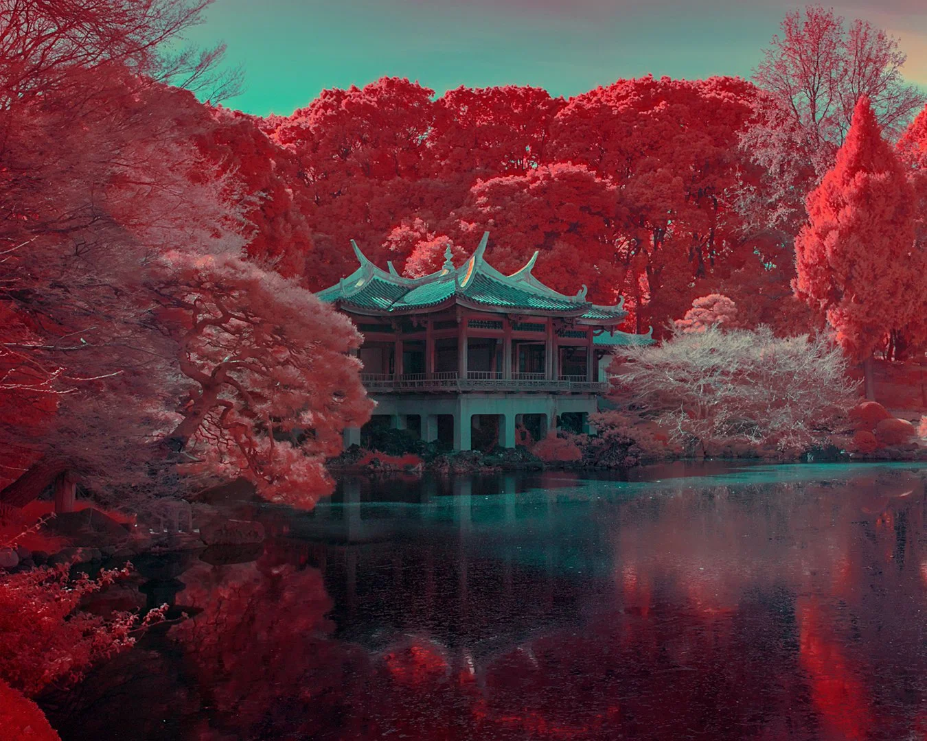 ShinjukuGarden_IR_1350x1080.jpg