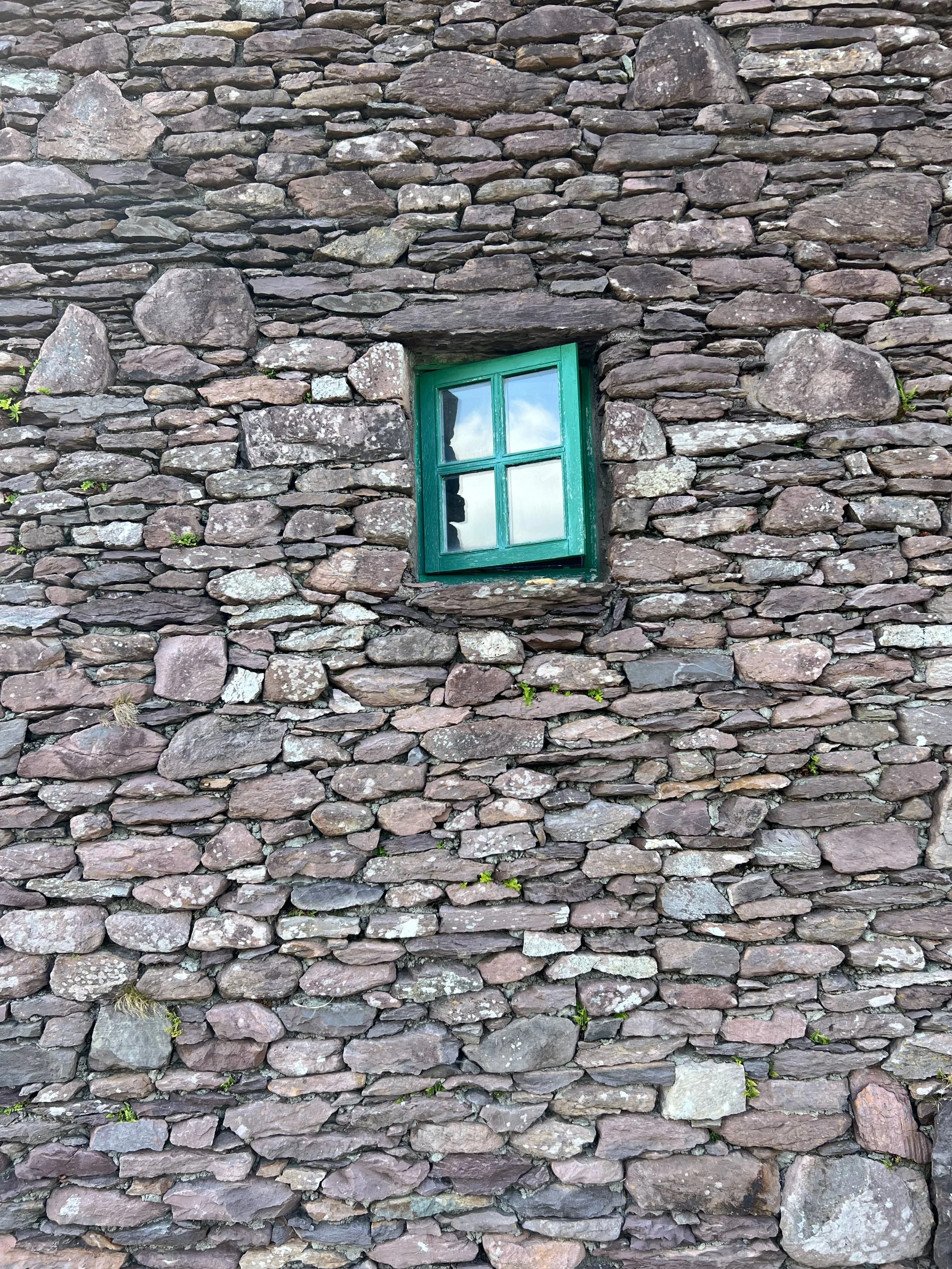 Green Window, Caitlin Parker