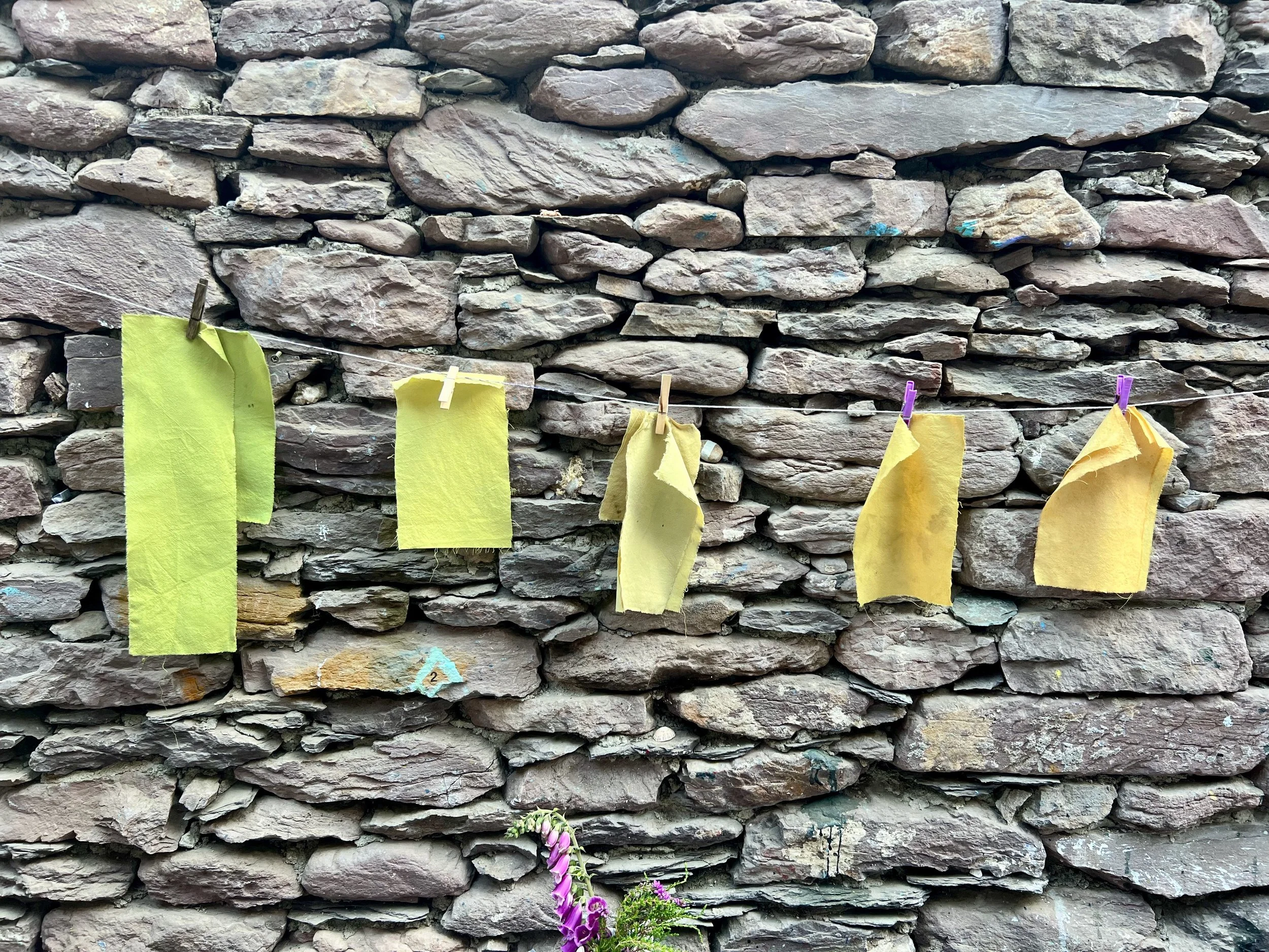 Natural Dyes of Ireland, Caitlin Parker