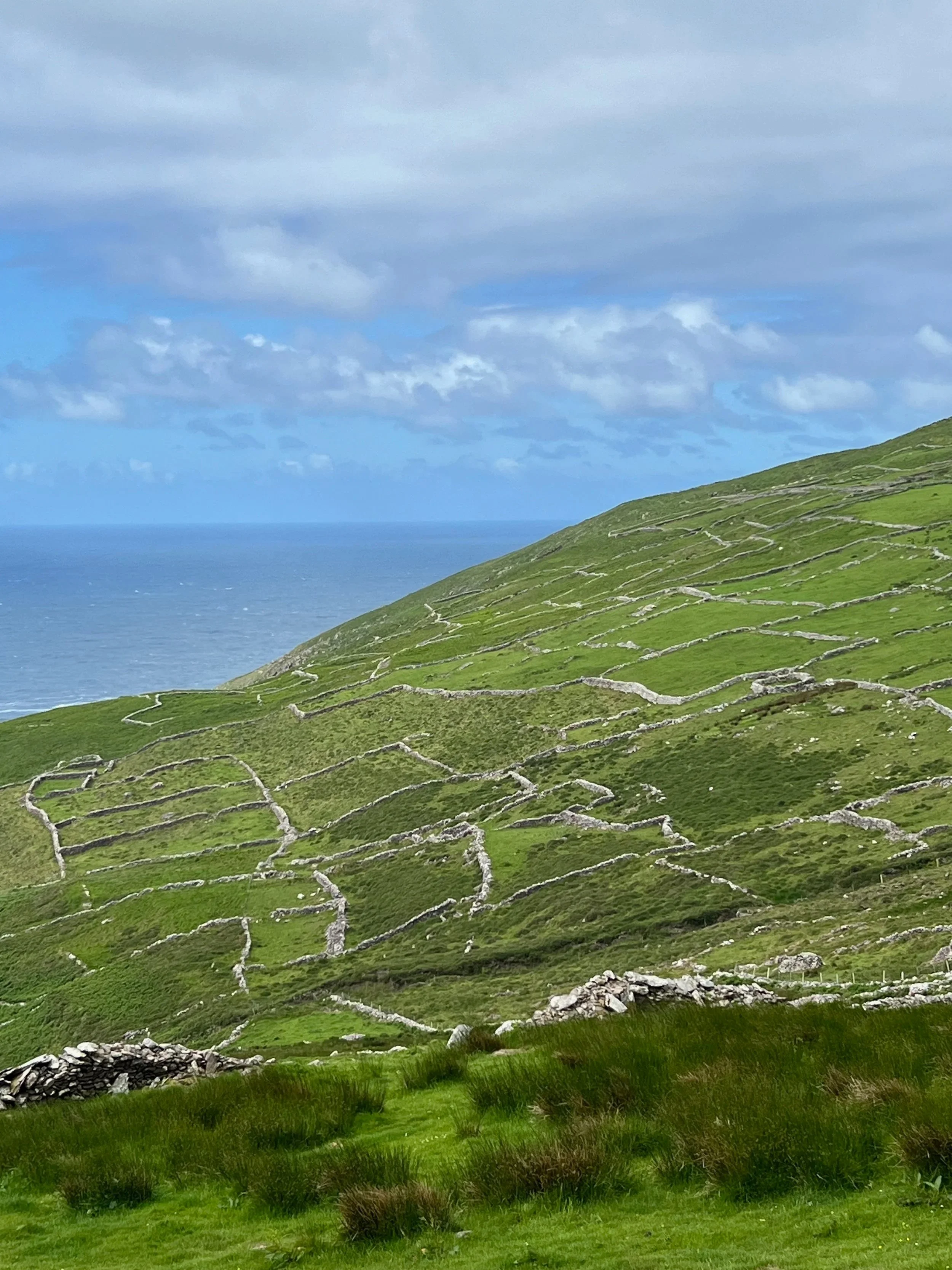 Irish Landscape, Caitlin Parker