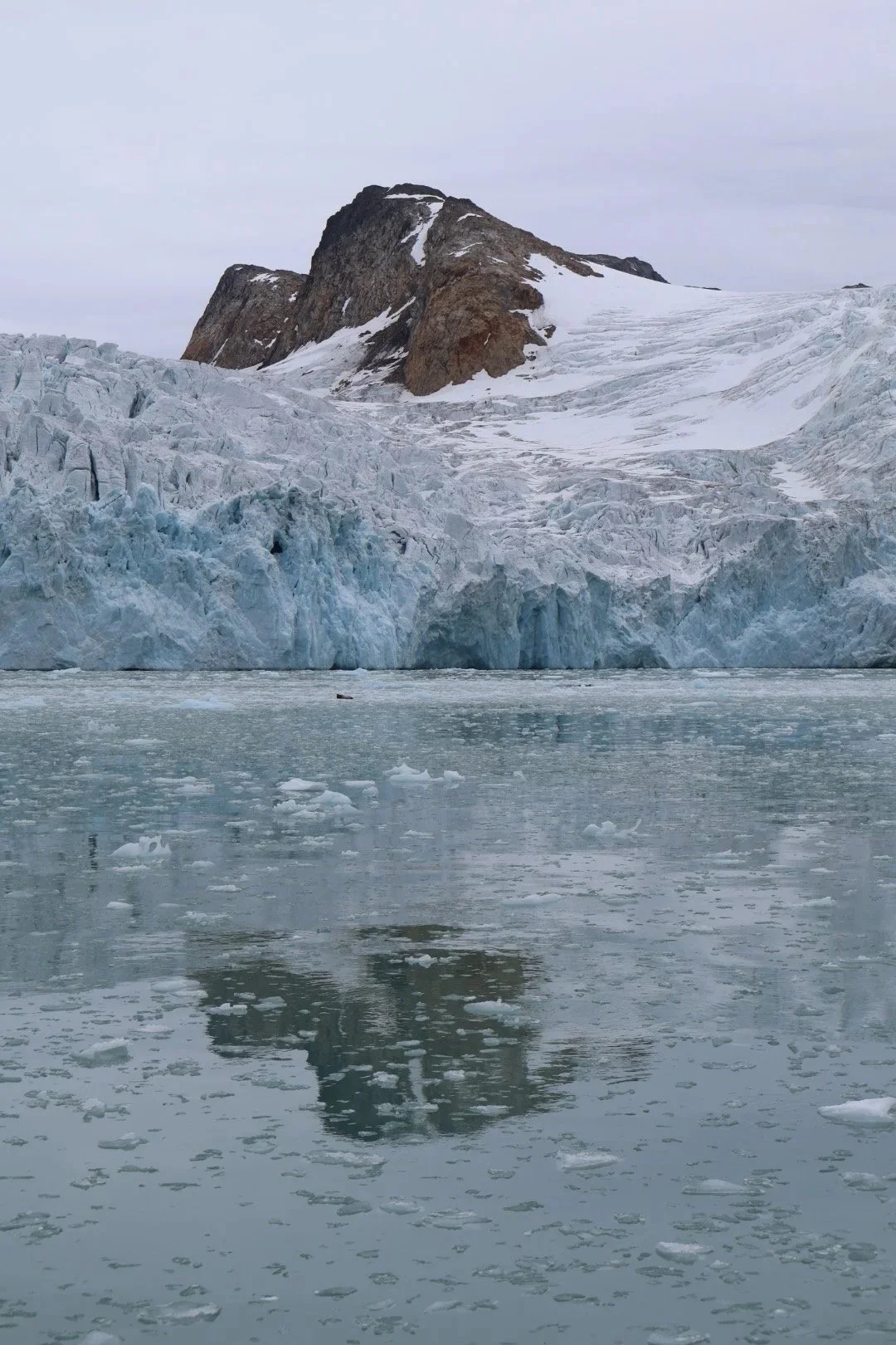 Artic Circle, Liz Robb