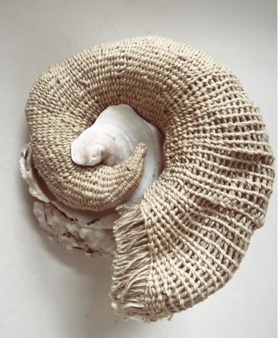 Sculptural Twining Workshop