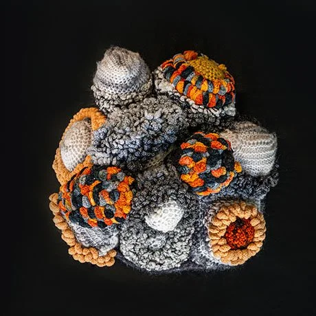 Soft Architectures of the Sea