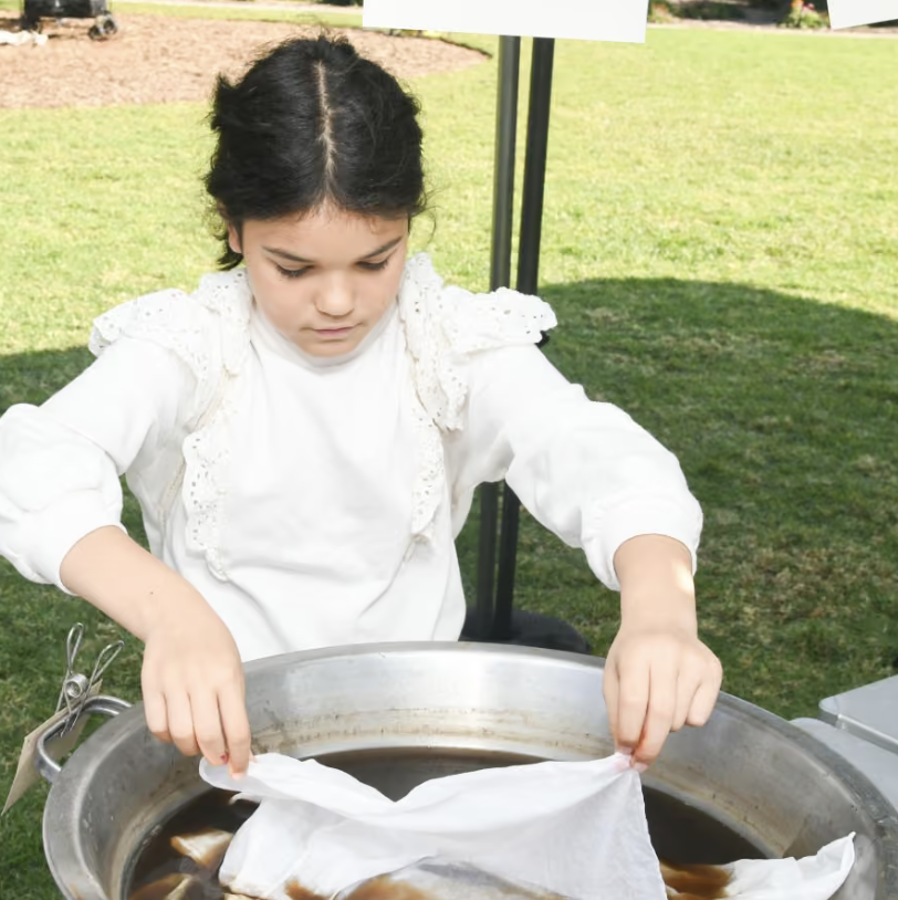 Family Workshop: Natural Native Dyes