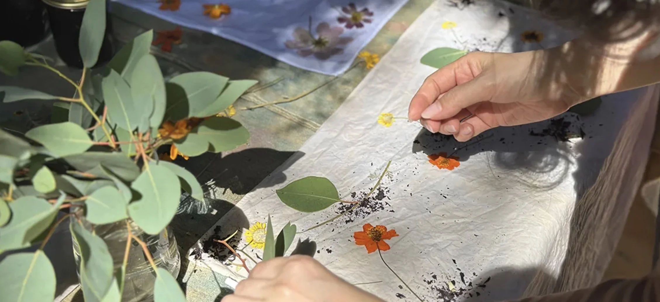 Natural Dye Eco-Printing