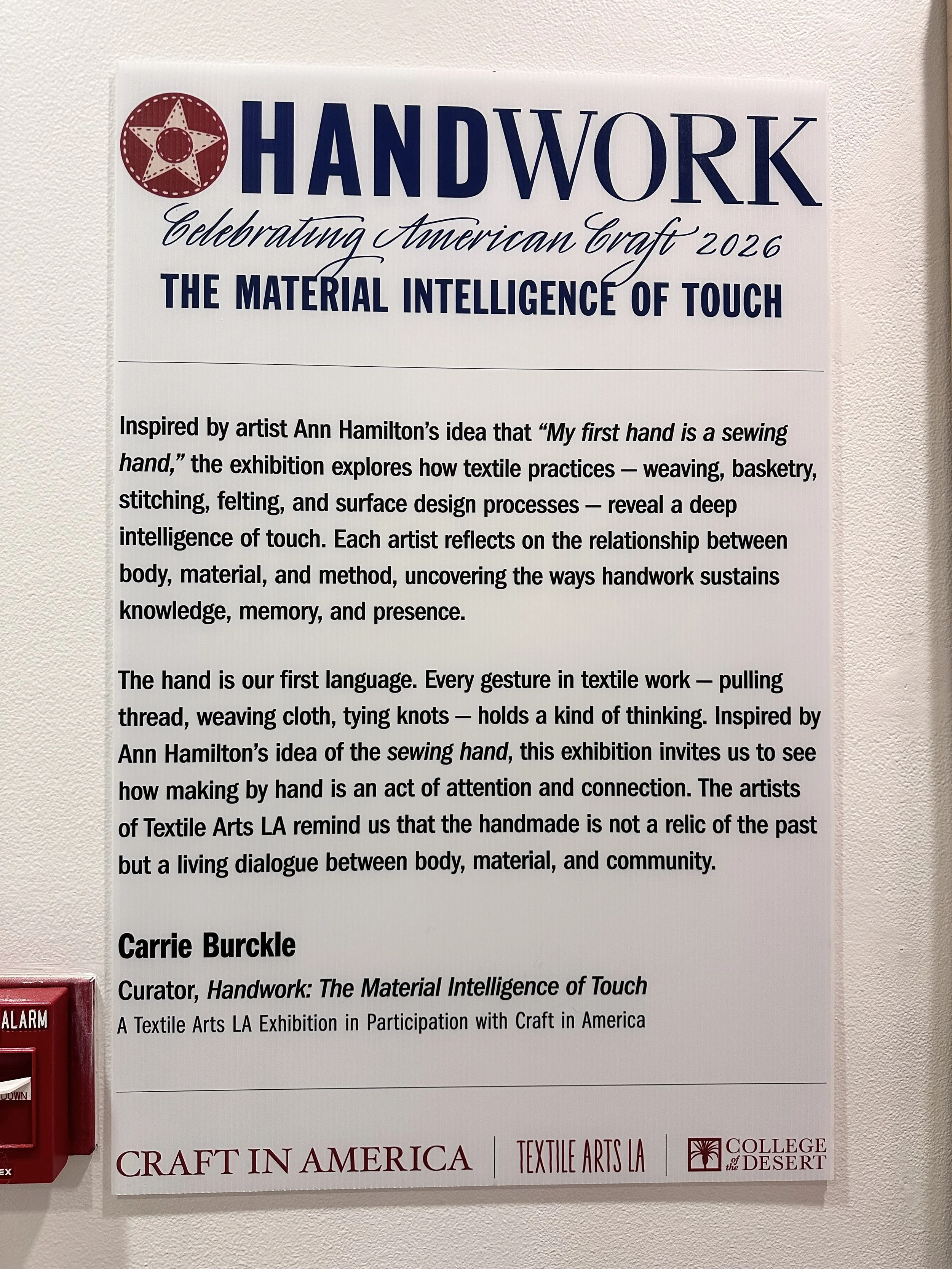 Curator's Statement Carrie Burckle