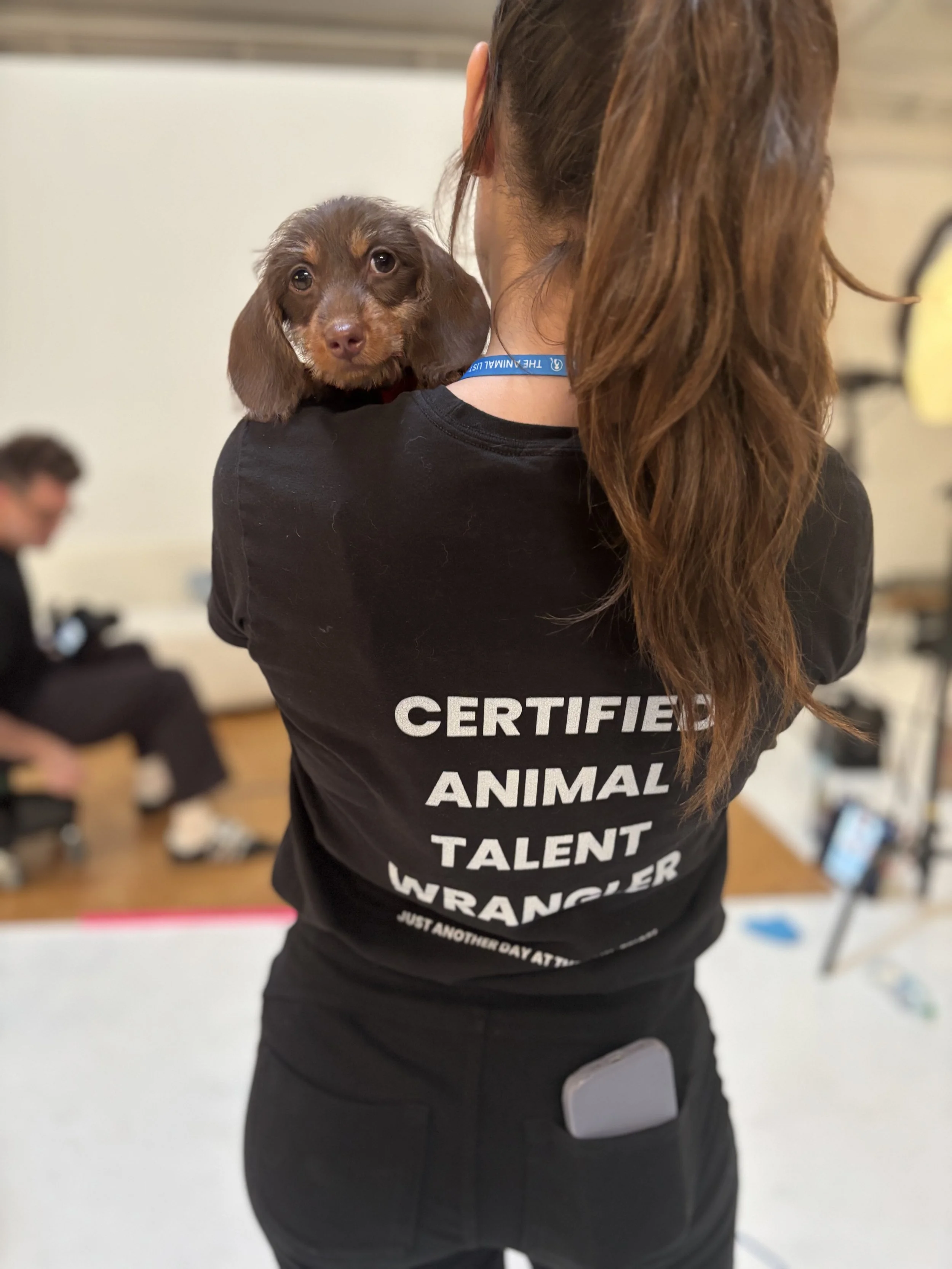 On set for PetSmart