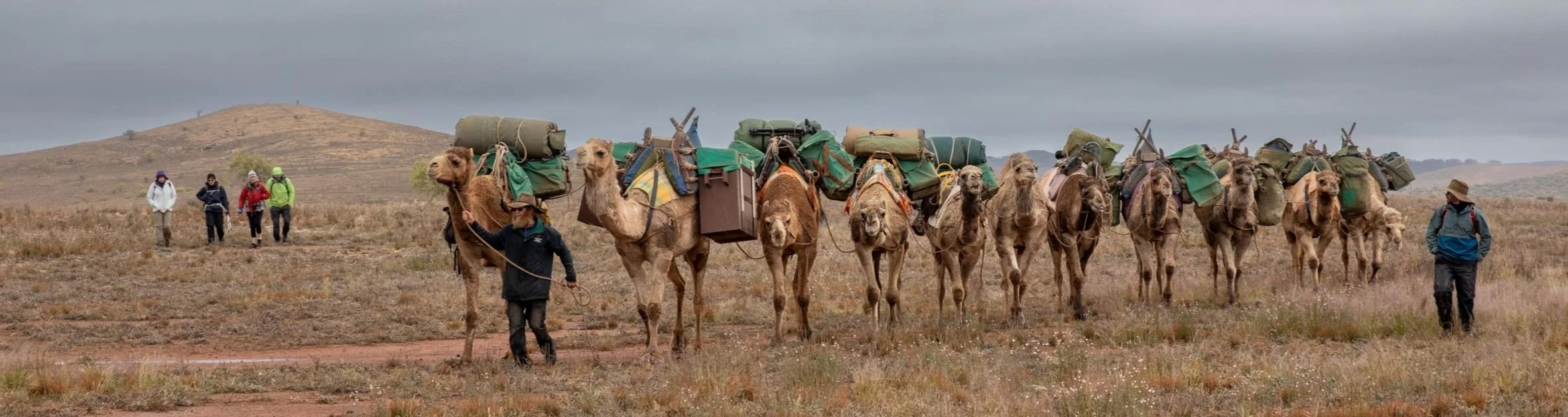 Our Story — Flinders and Beyond Camel Treks