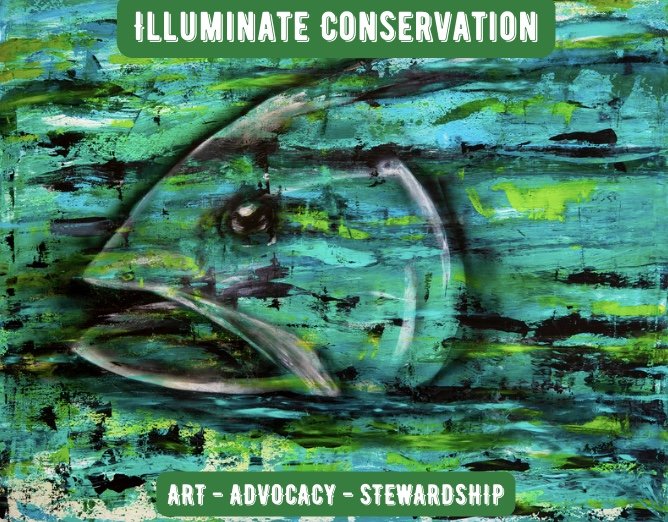 Illuminate Conservation