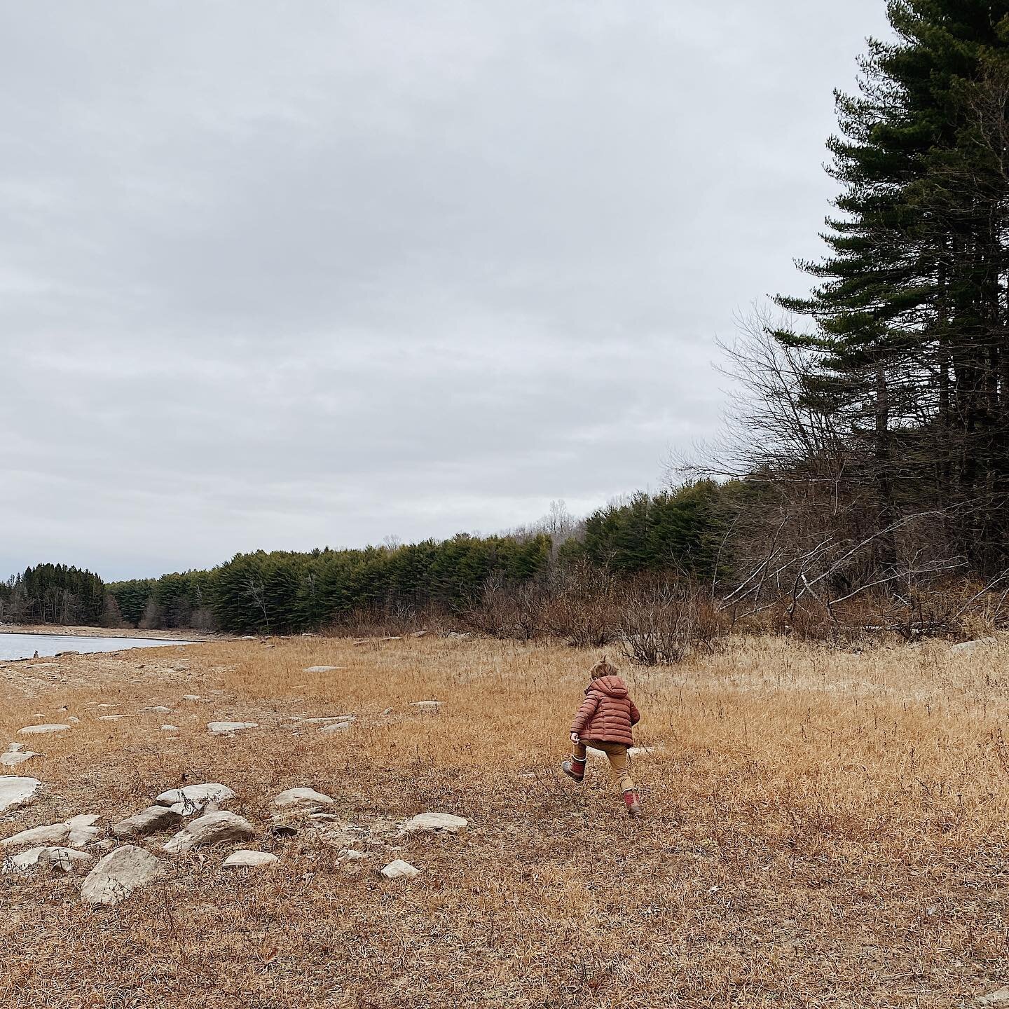 Exploring the wilds of Connecticut on this gray day! ☁️

.
.
.
.
.
#newenglandphotography #mytinyatlas #newengland #mynewengland #scenesofnewengland #scenesofct #tellnewengland #connecticut #visitct #ct #holdthemoments #thatsdarling #vsco #folkgood #